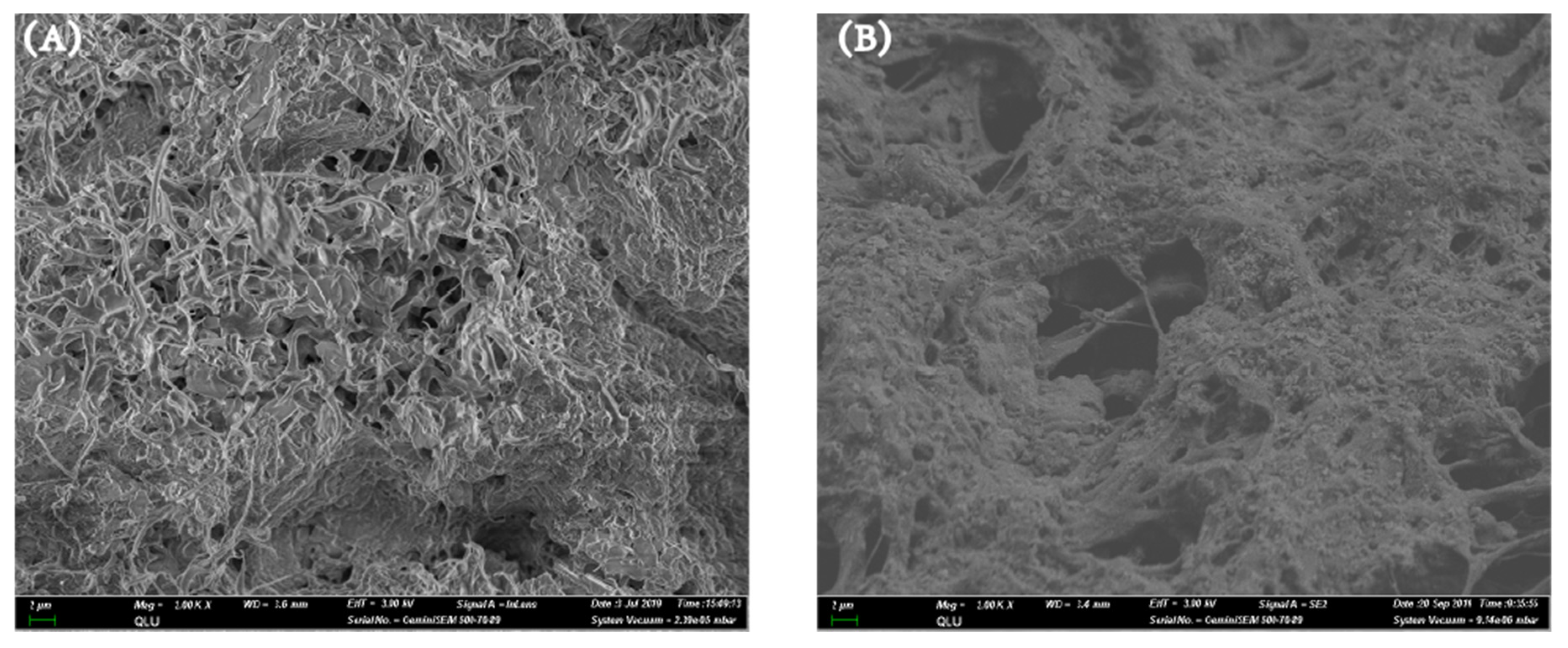 Polymers 13 00009 g004