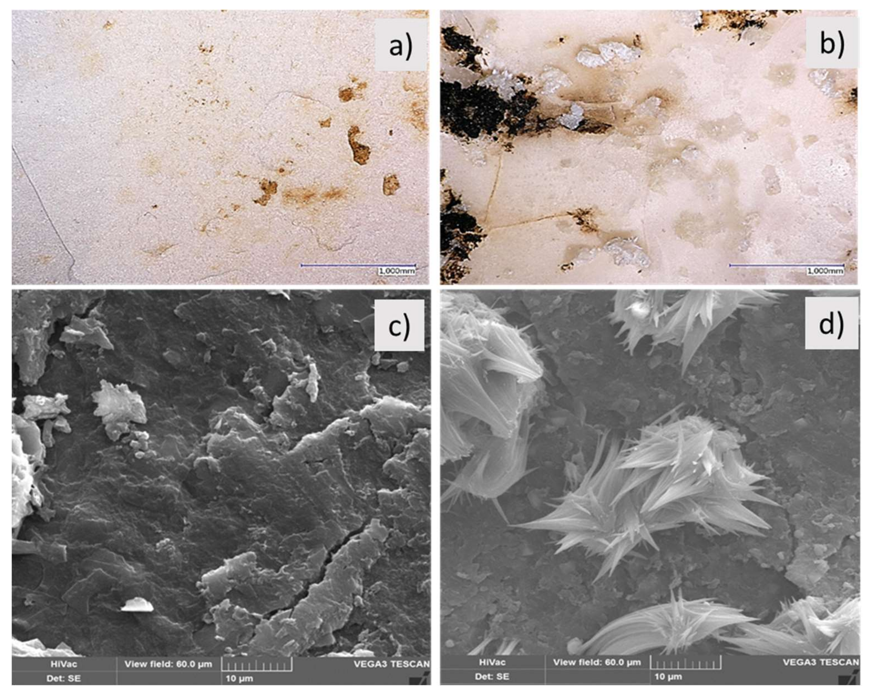 Polymers 13 00010 g007