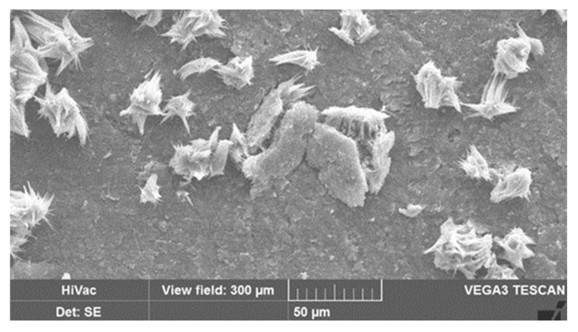 Polymers 13 00010 g008