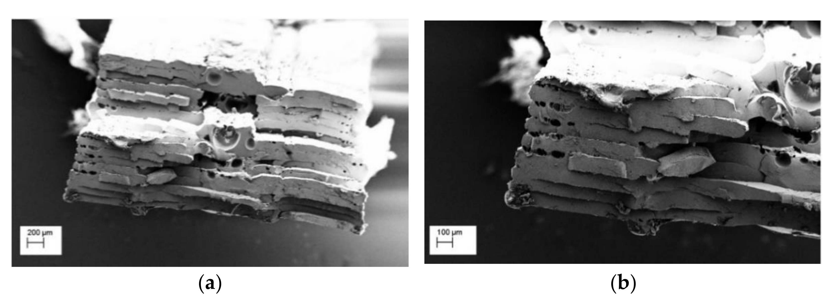 Polymers 13 00011 g007 Polymers 13 00011 g007