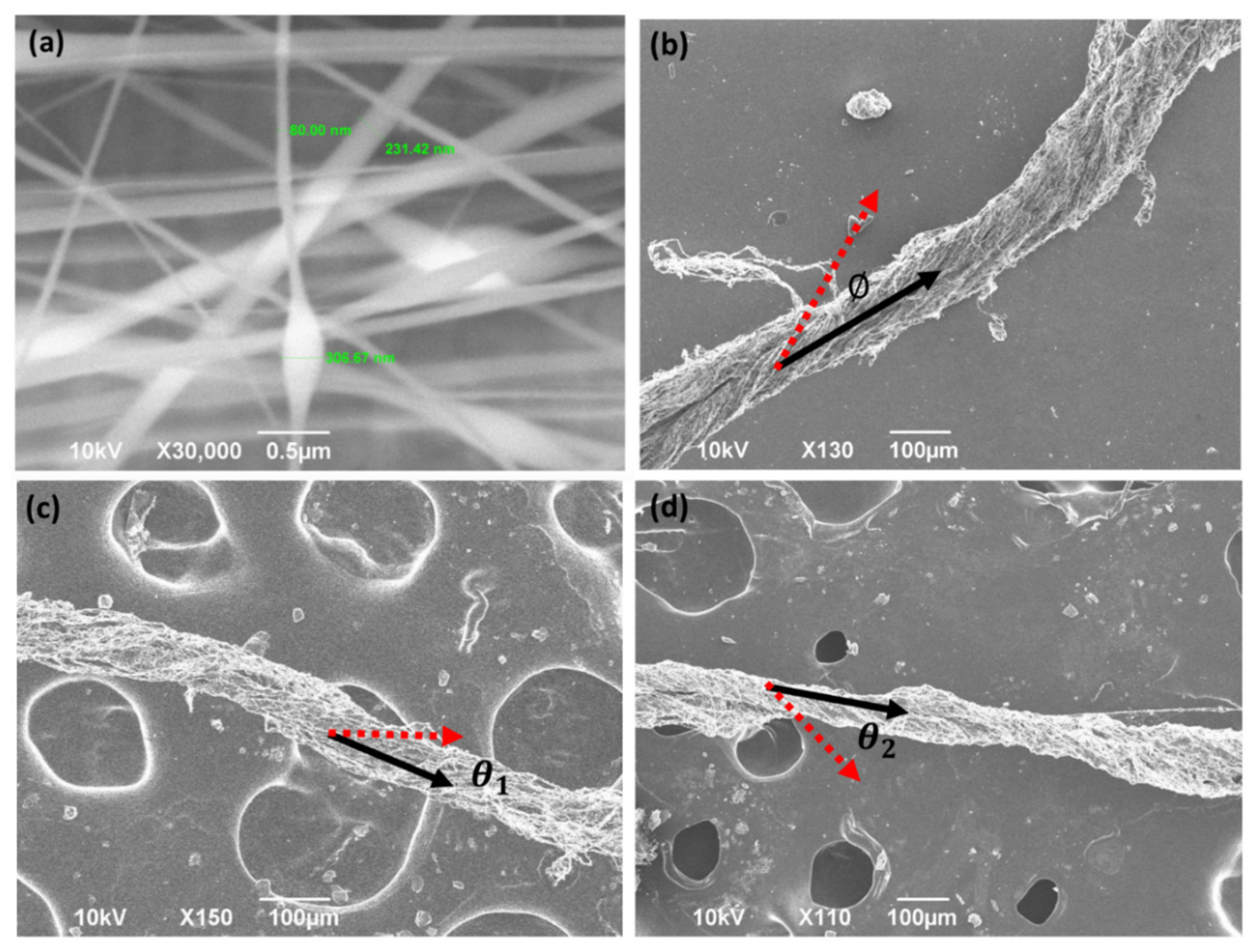 Polymers 13 00012 g004 Polymers 13 00012 g004