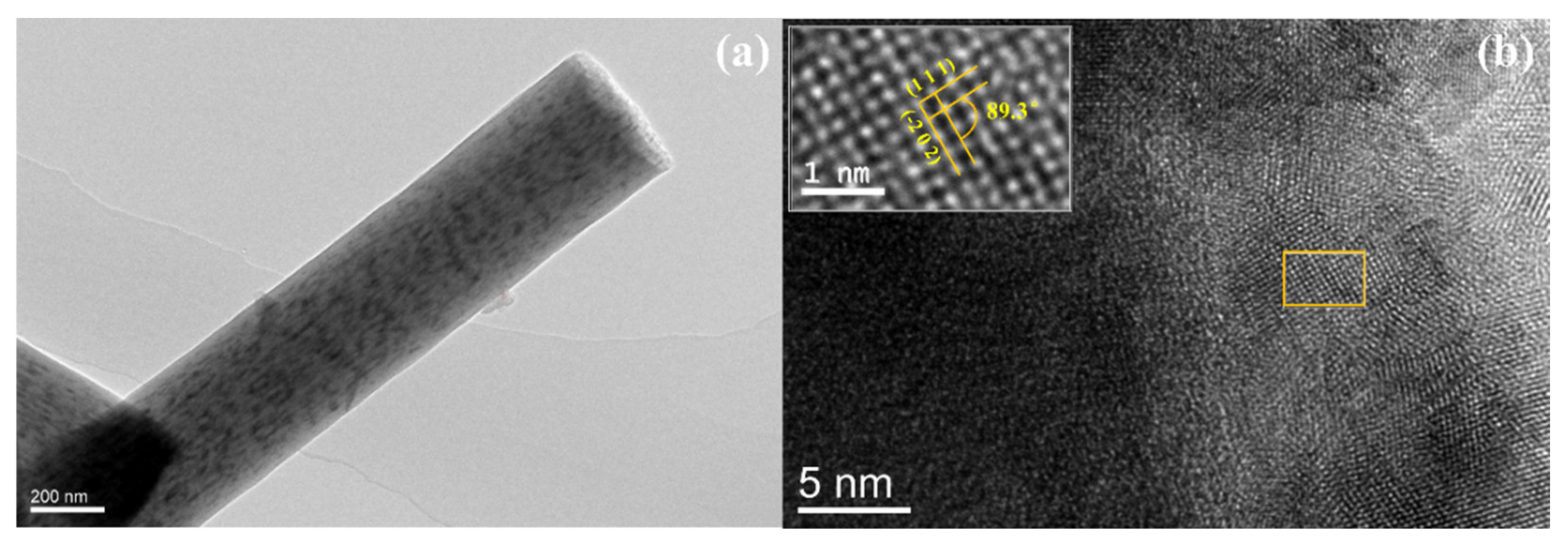 Polymers 13 00022 g004