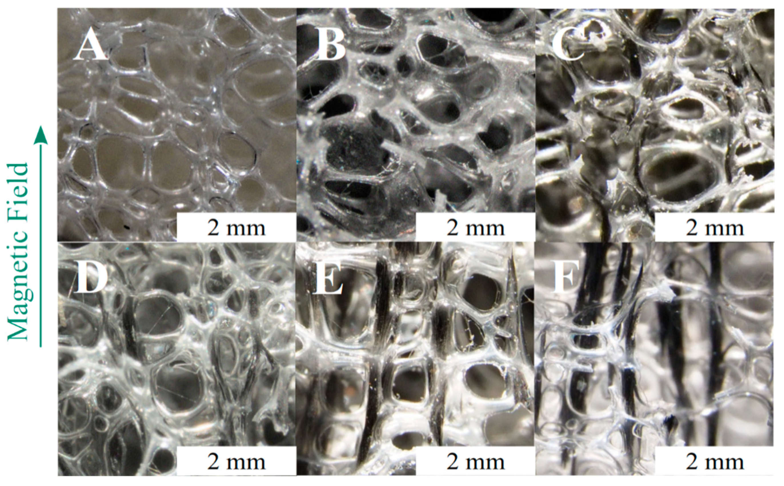 Polymers 13 00024 g004