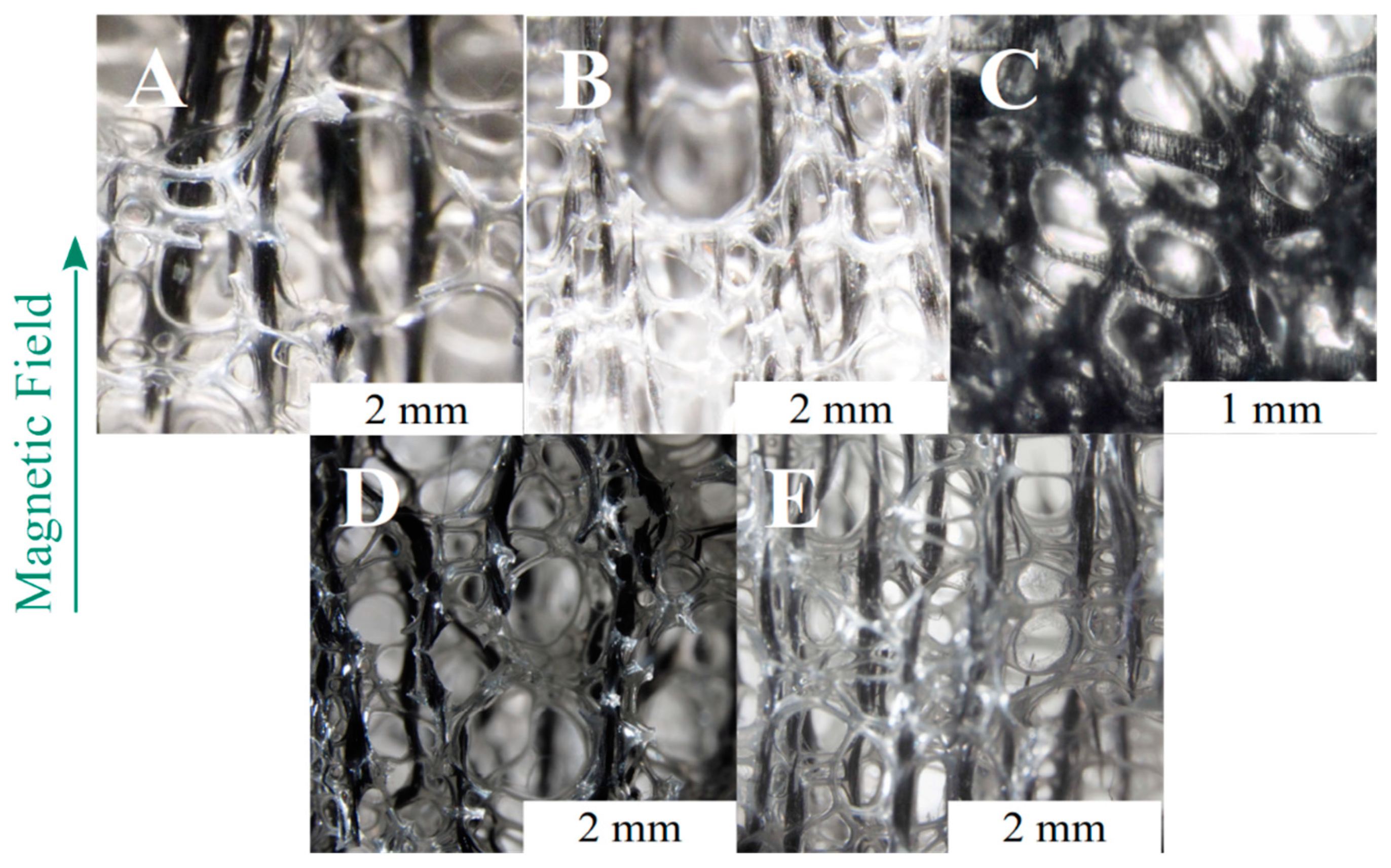 Polymers 13 00024 g006
