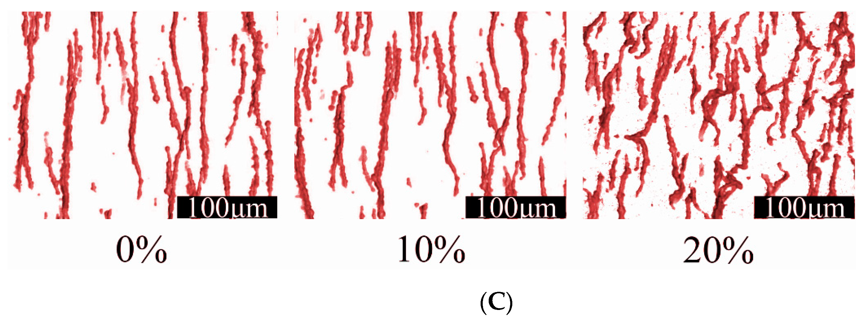 Polymers 13 00024 g008b