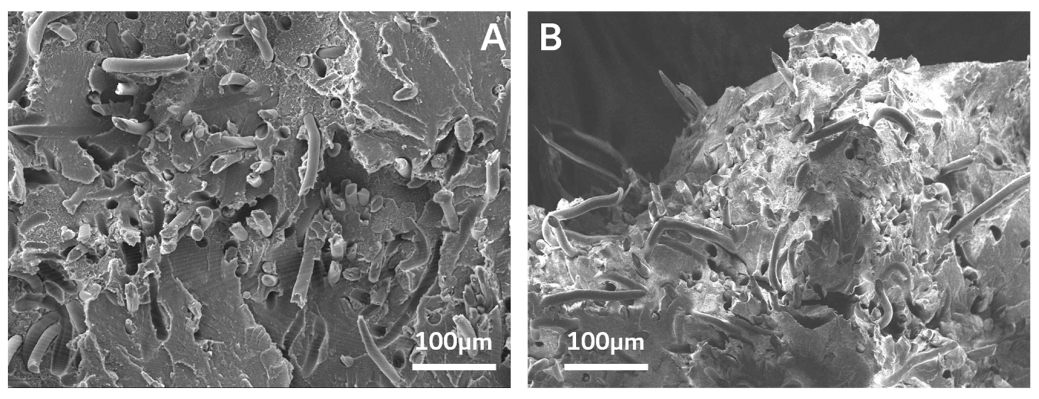 Polymers 13 00029 g004