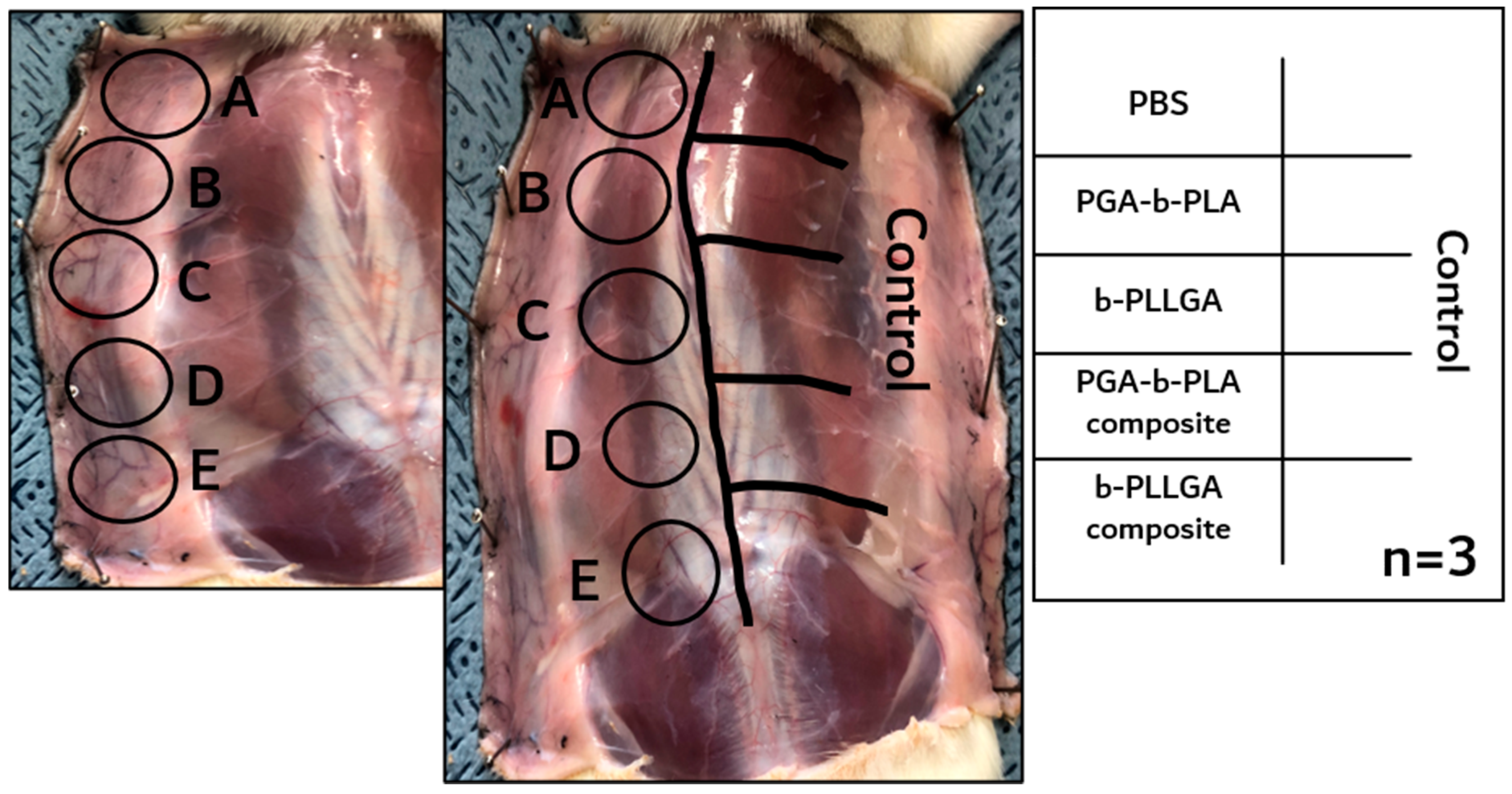 Polymers 13 00029 g007