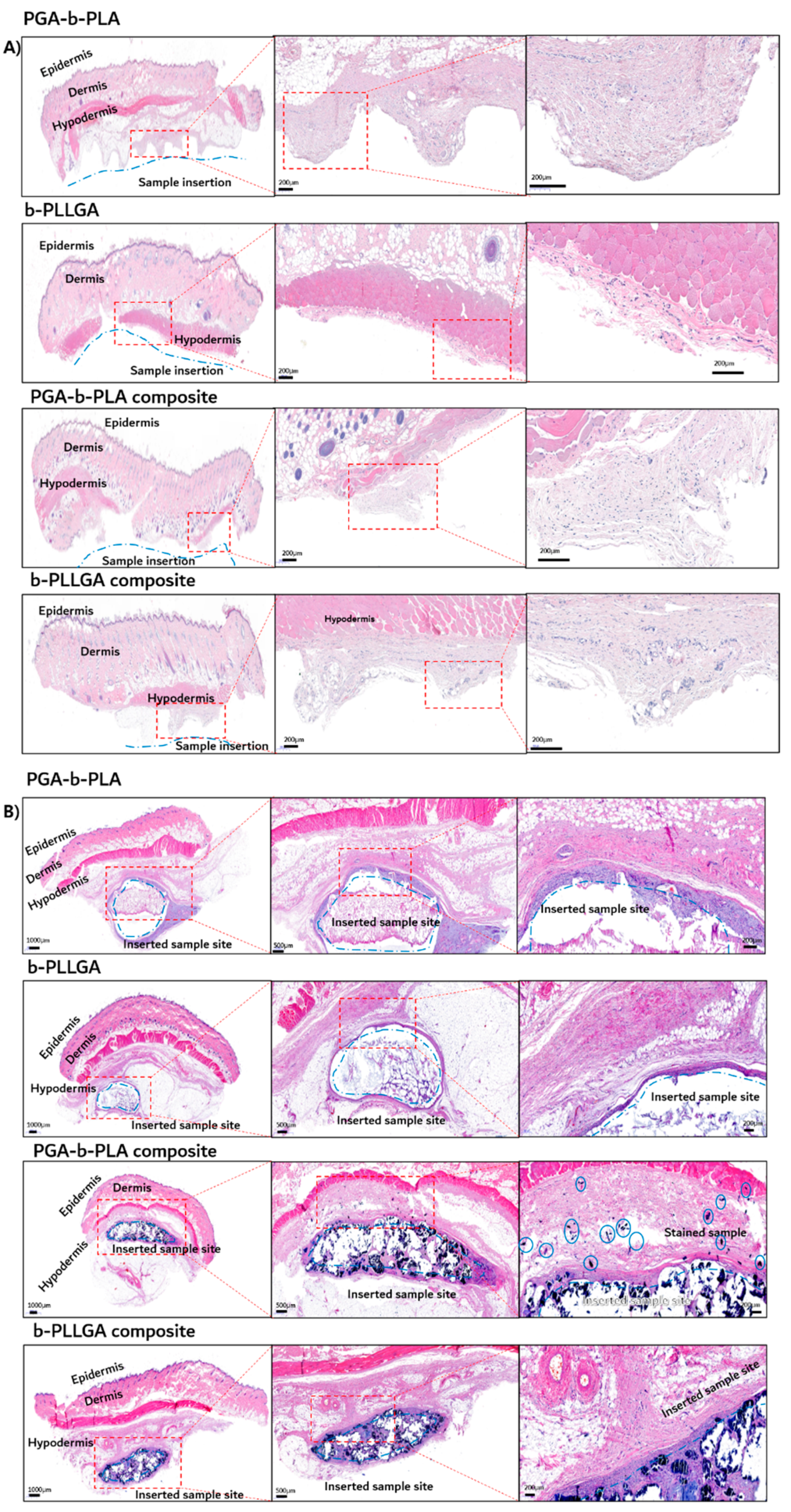 Polymers 13 00029 g010