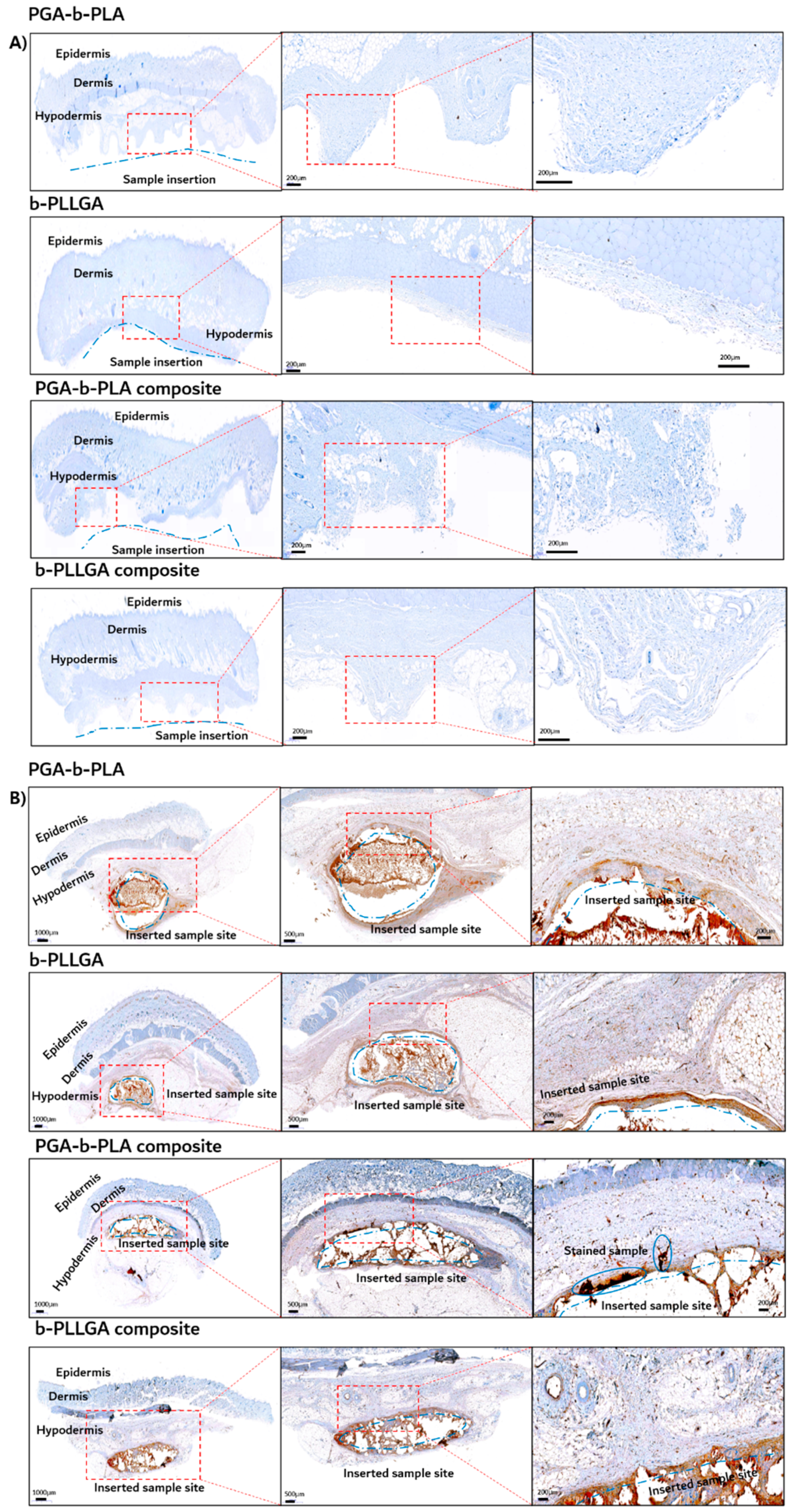 Polymers 13 00029 g011