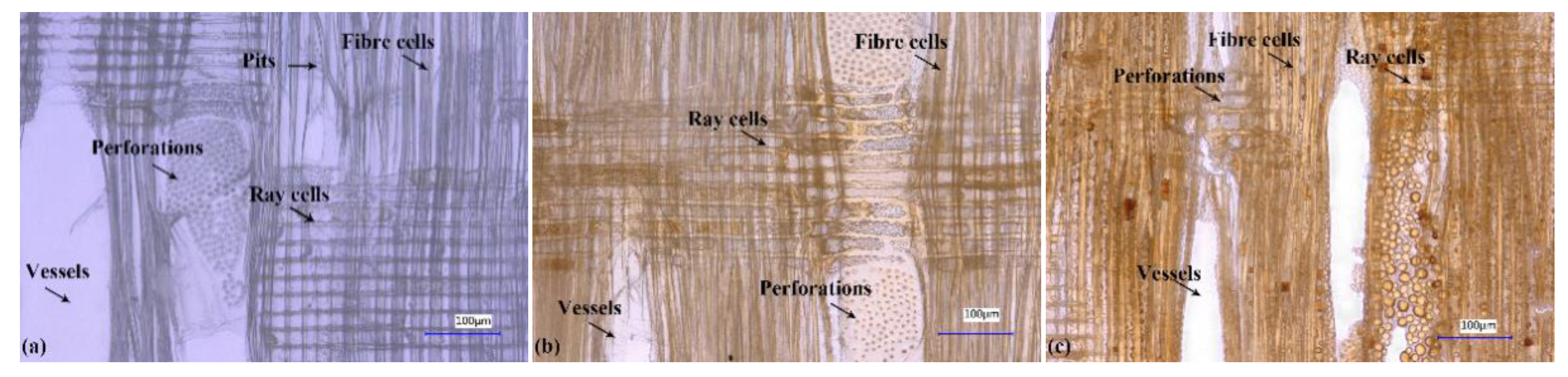 Polymers 13 00032 g001