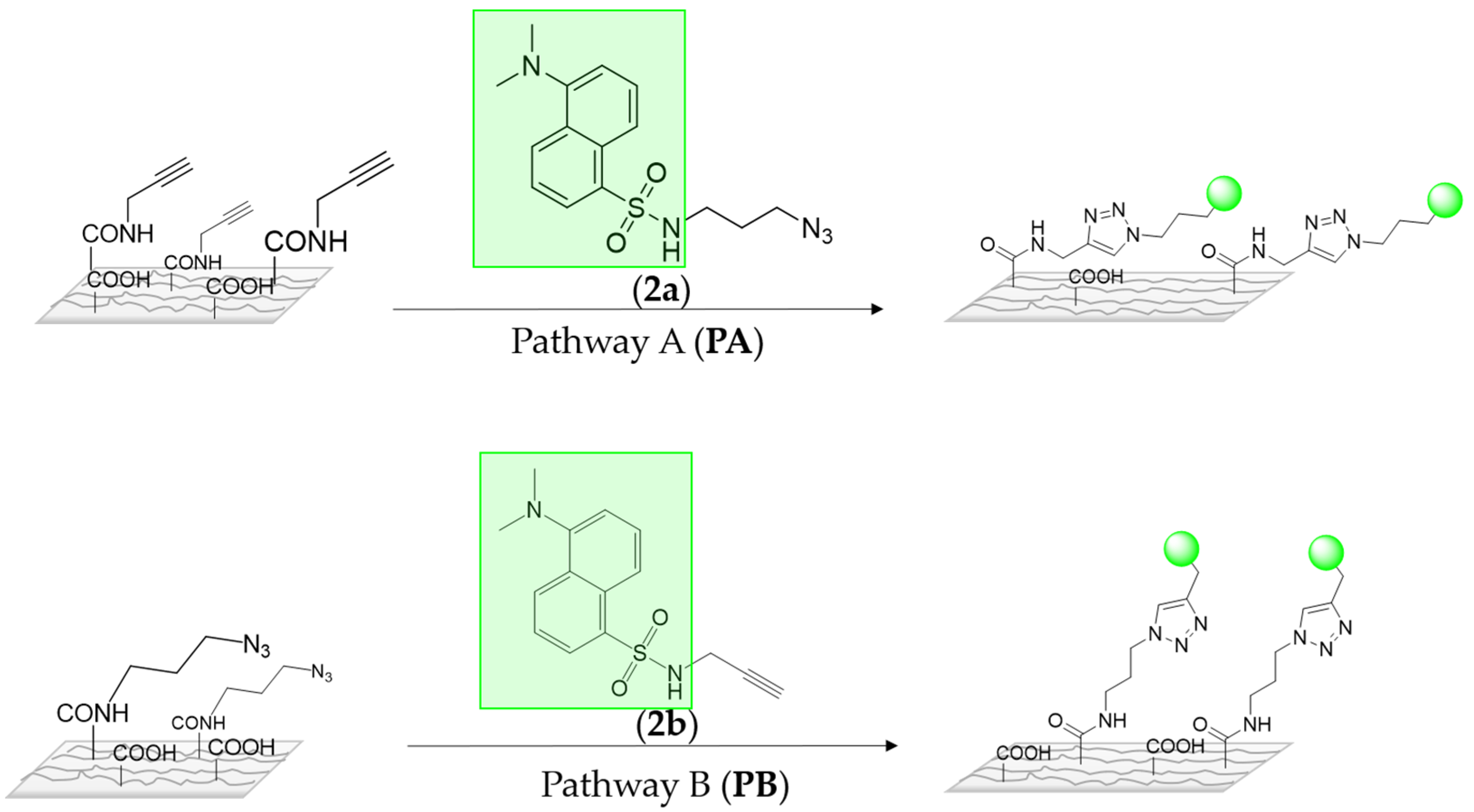 Polymers 13 00034 sch003