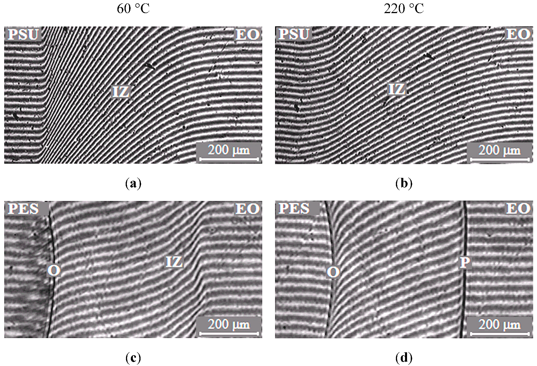 Polymers 13 00035 g002