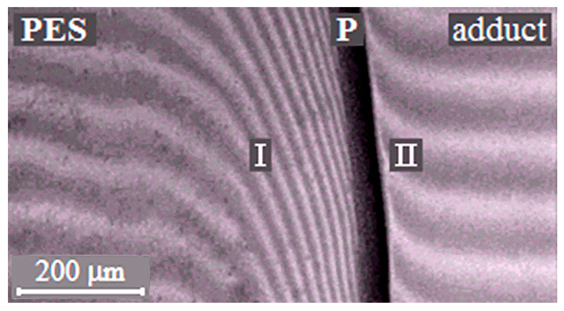 Polymers 13 00035 g003
