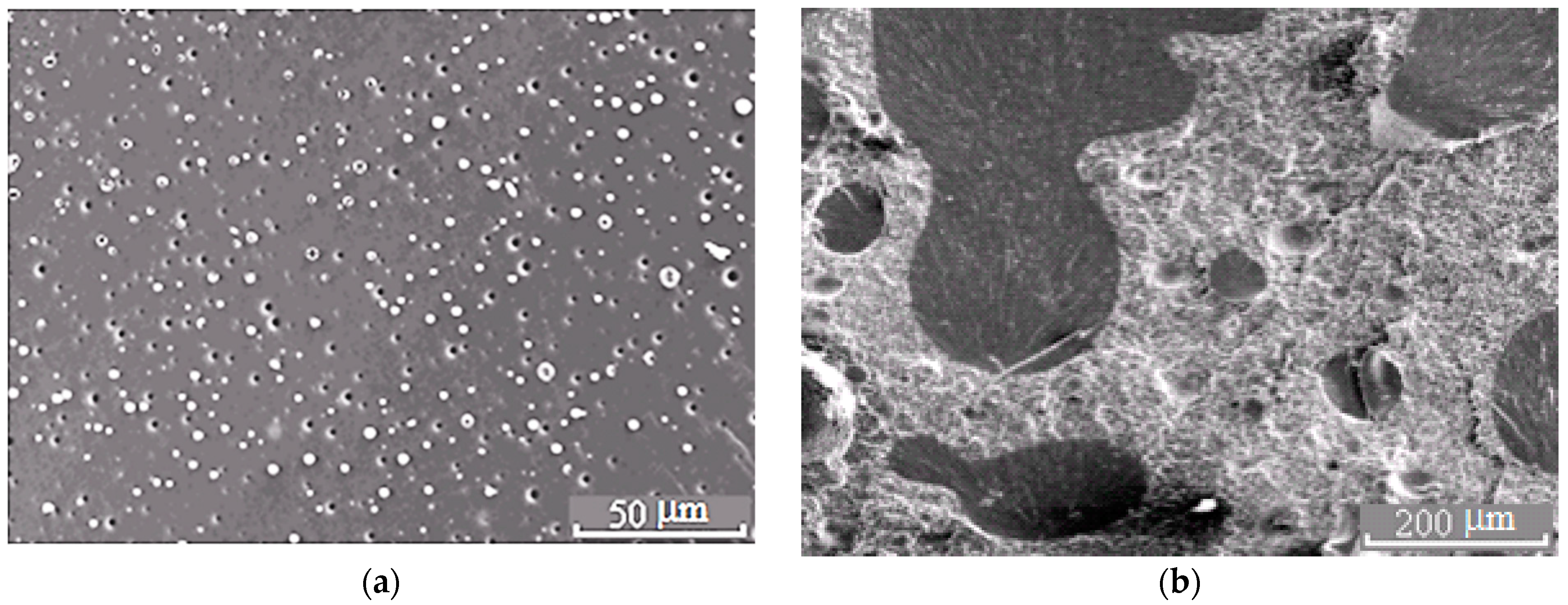 Polymers 13 00035 g005