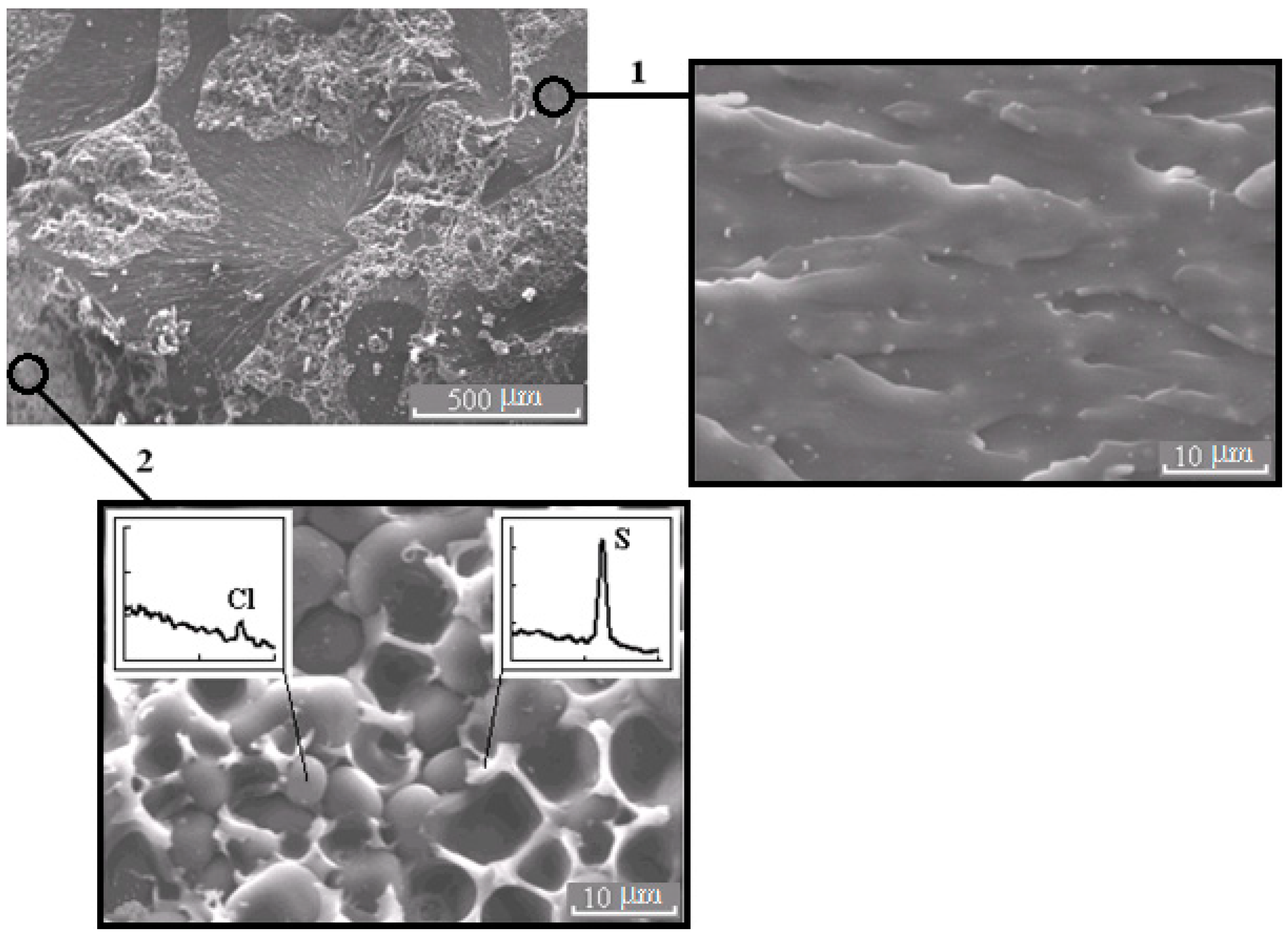 Polymers 13 00035 g006