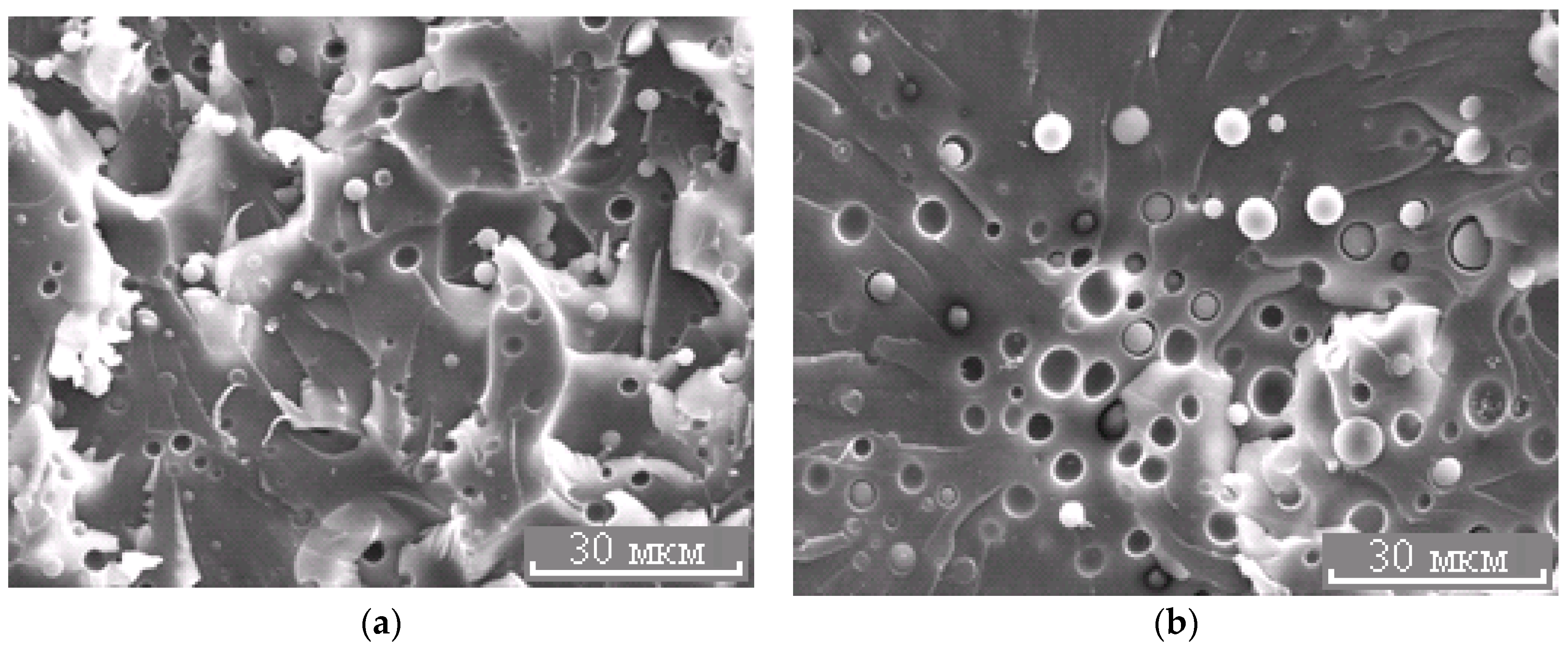 Polymers 13 00035 g007