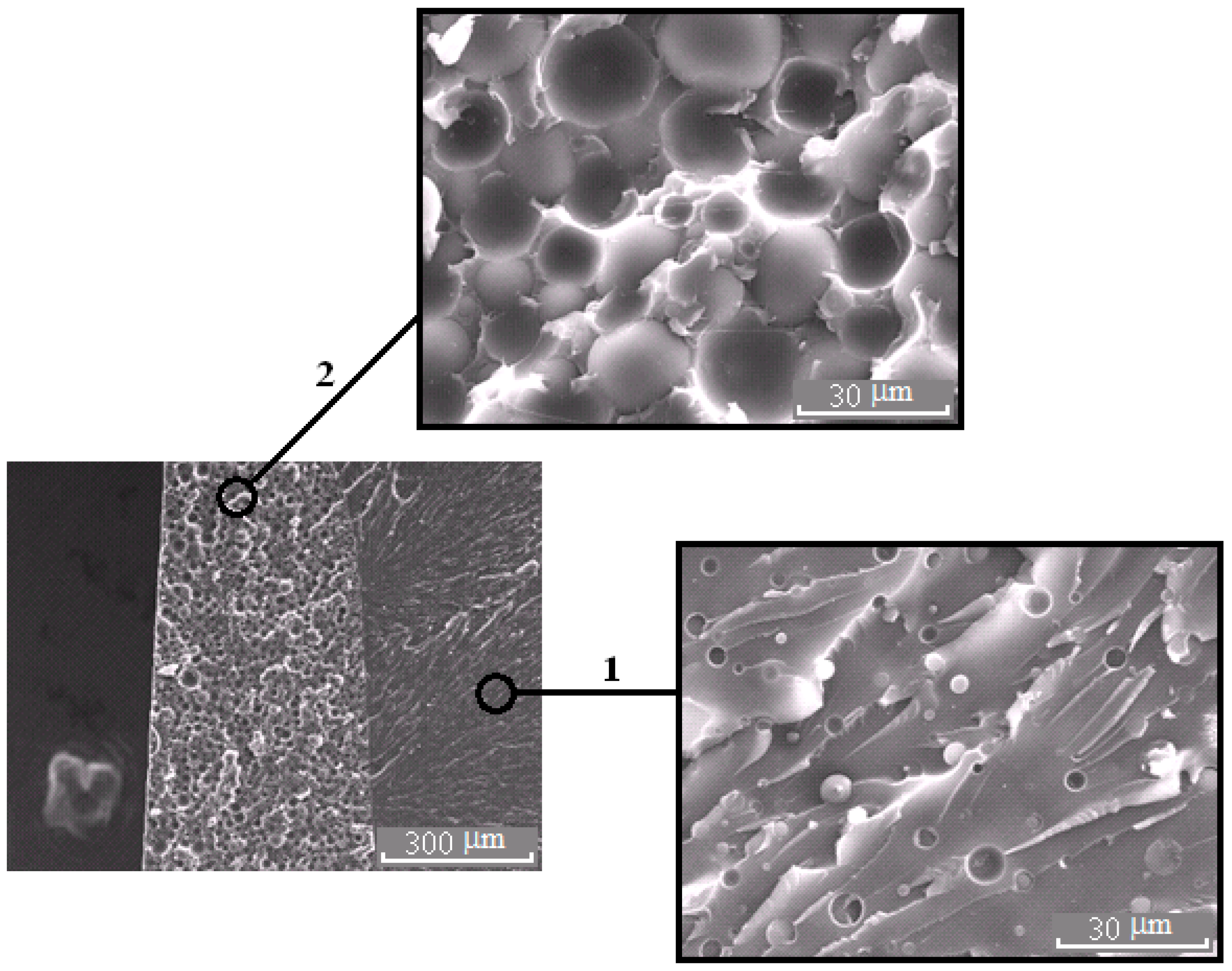 Polymers 13 00035 g008