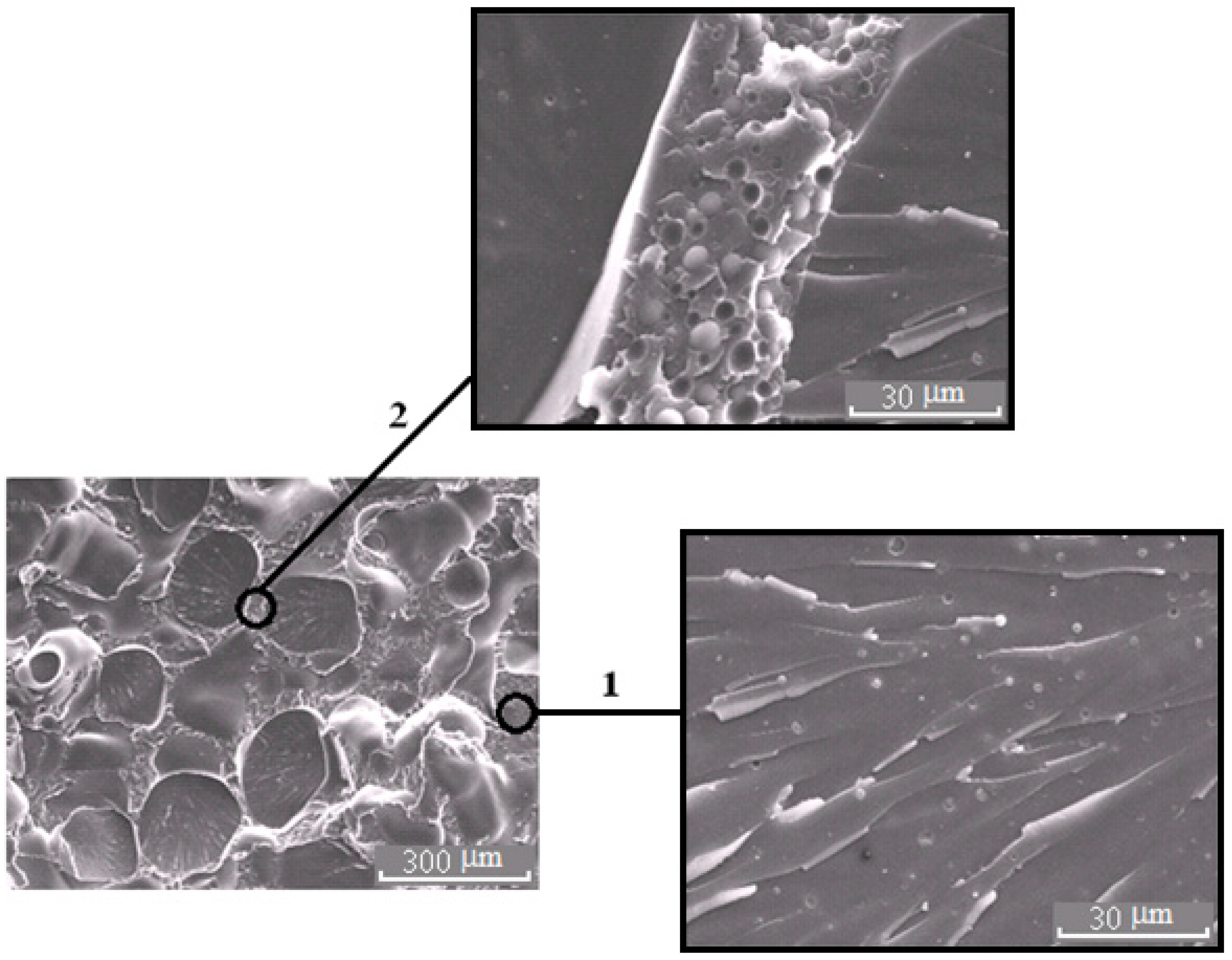 Polymers 13 00035 g009