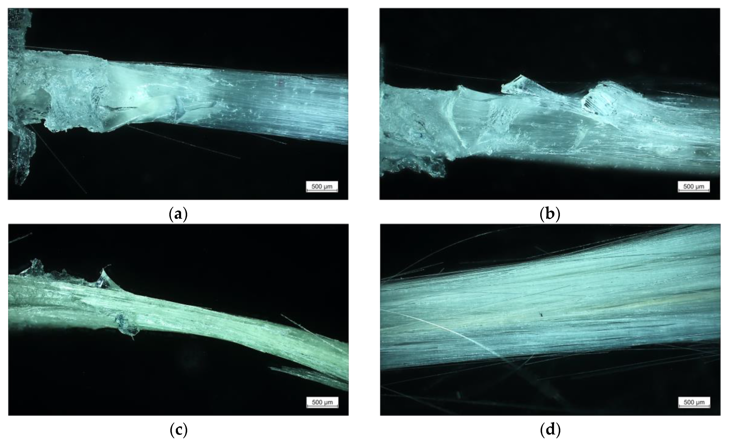 Polymers 13 00036 g006