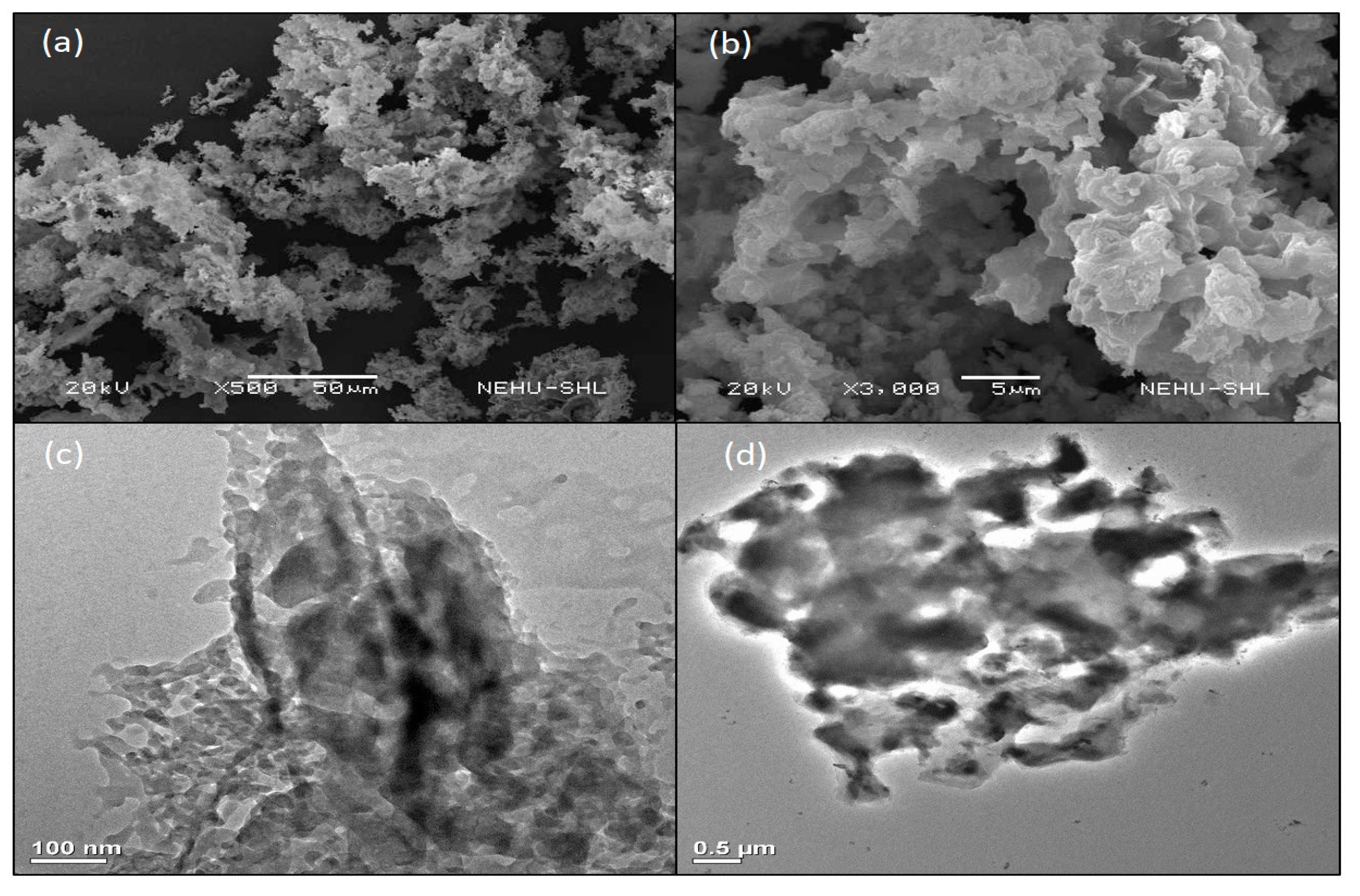 Polymers 13 00037 g001