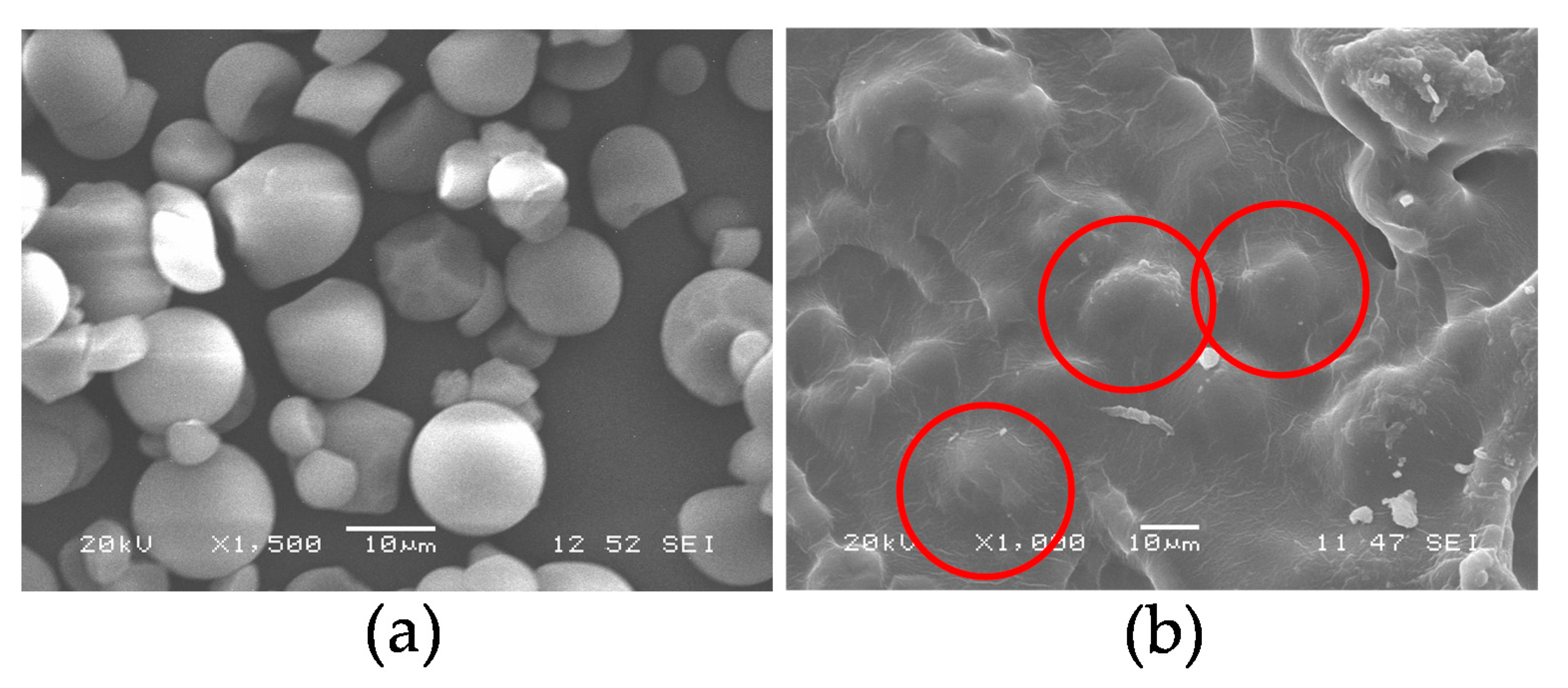 Polymers 13 00038 g002 Polymers 13 00038 g002