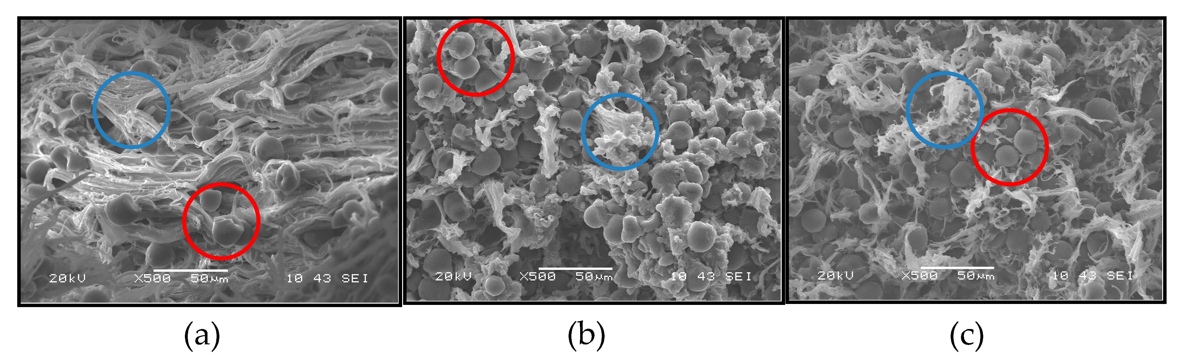 Polymers 13 00038 g003 Polymers 13 00038 g003