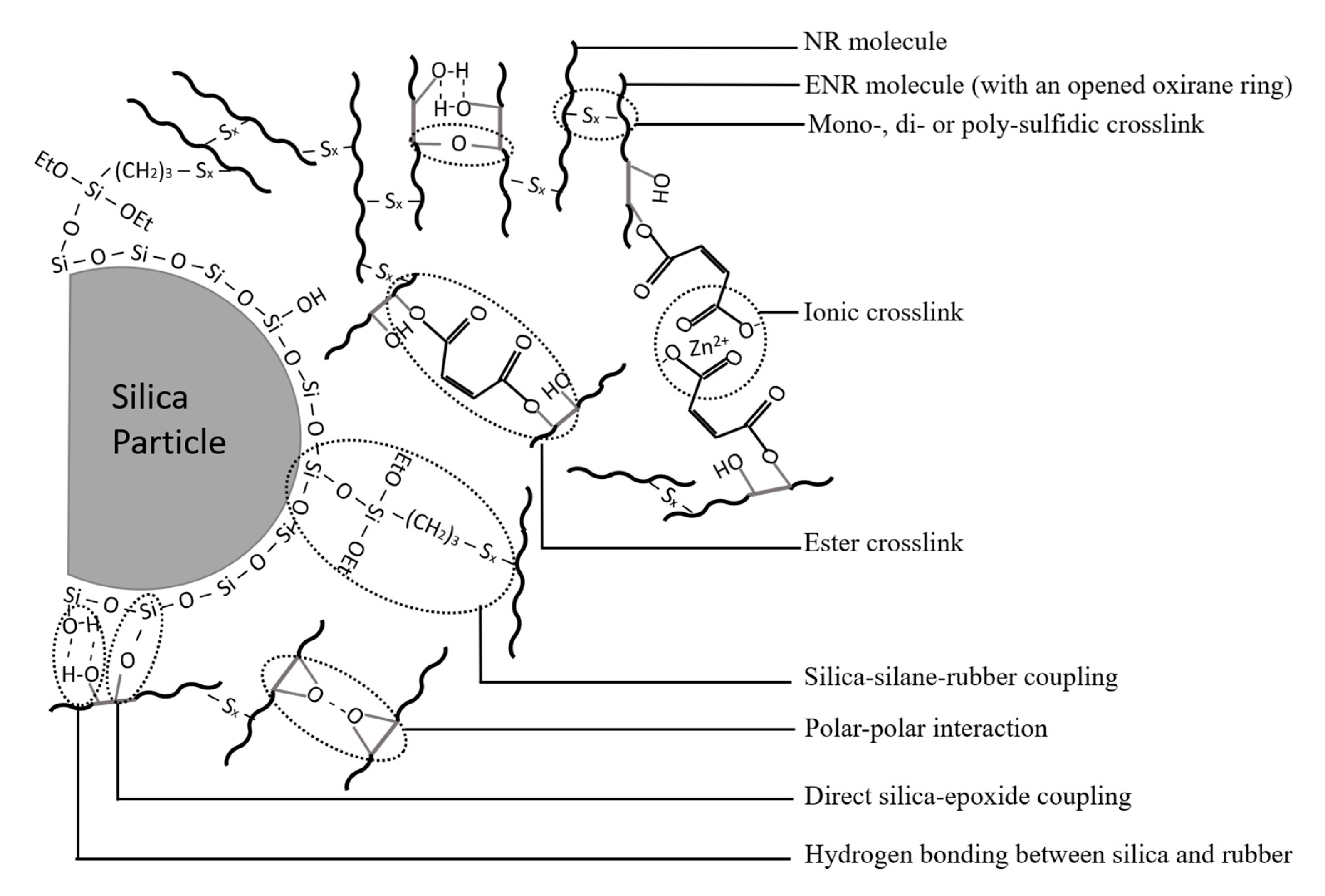 Polymers 13 00039 sch002 Polymers 13 00039 sch002