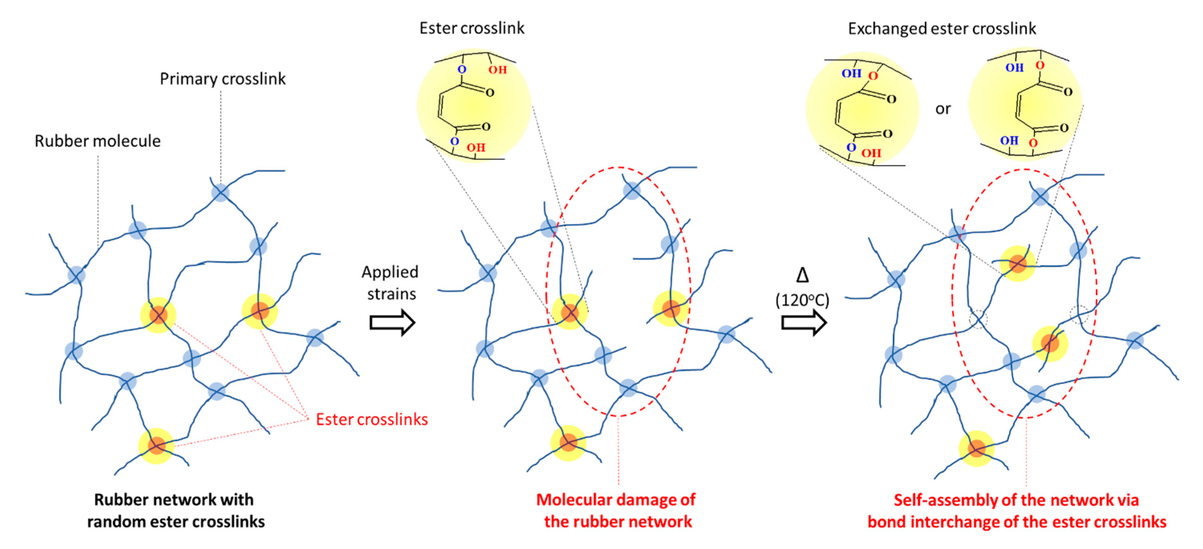 Polymers 13 00039 sch003 Polymers 13 00039 sch003