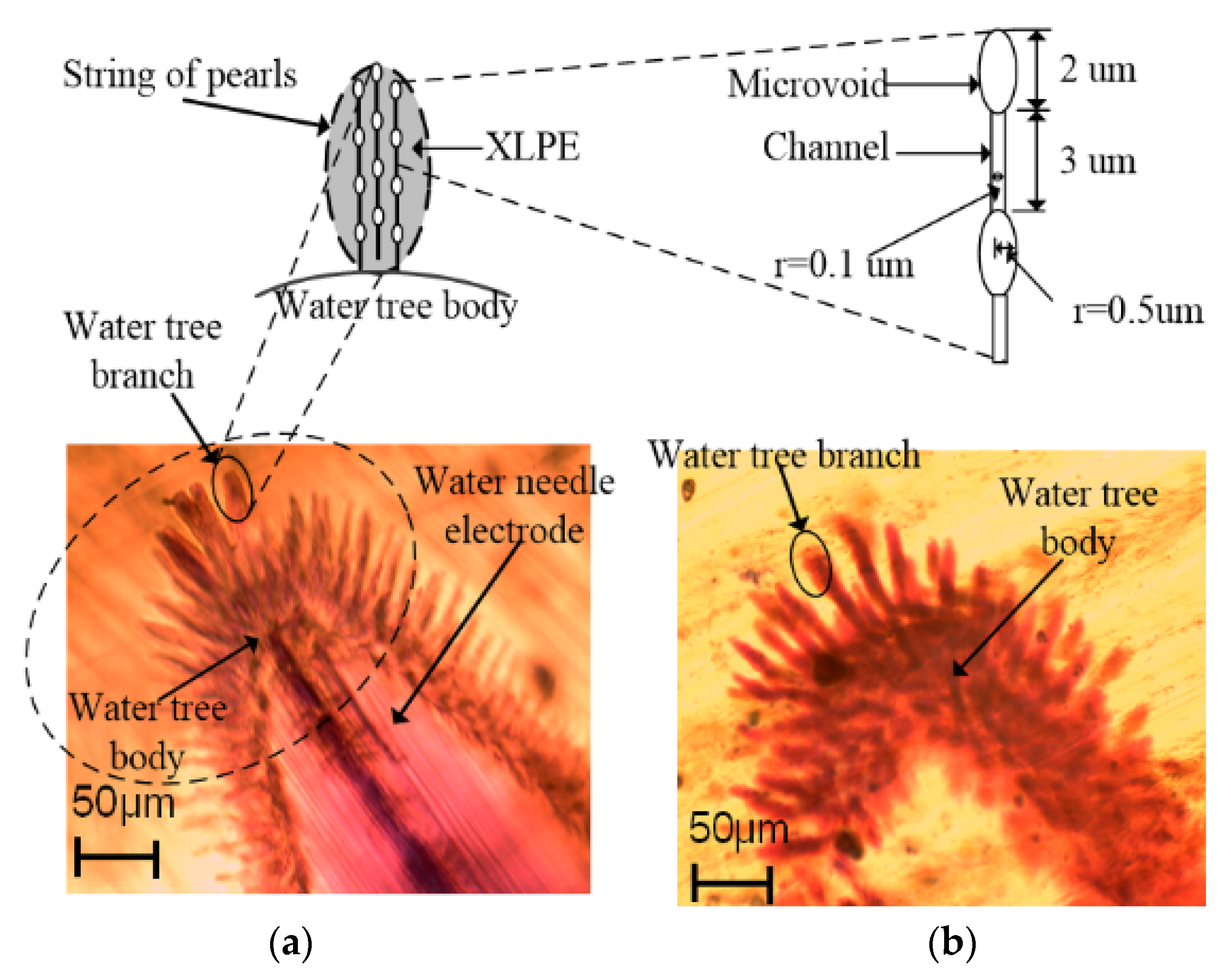 Polymers 13 00040 g008
