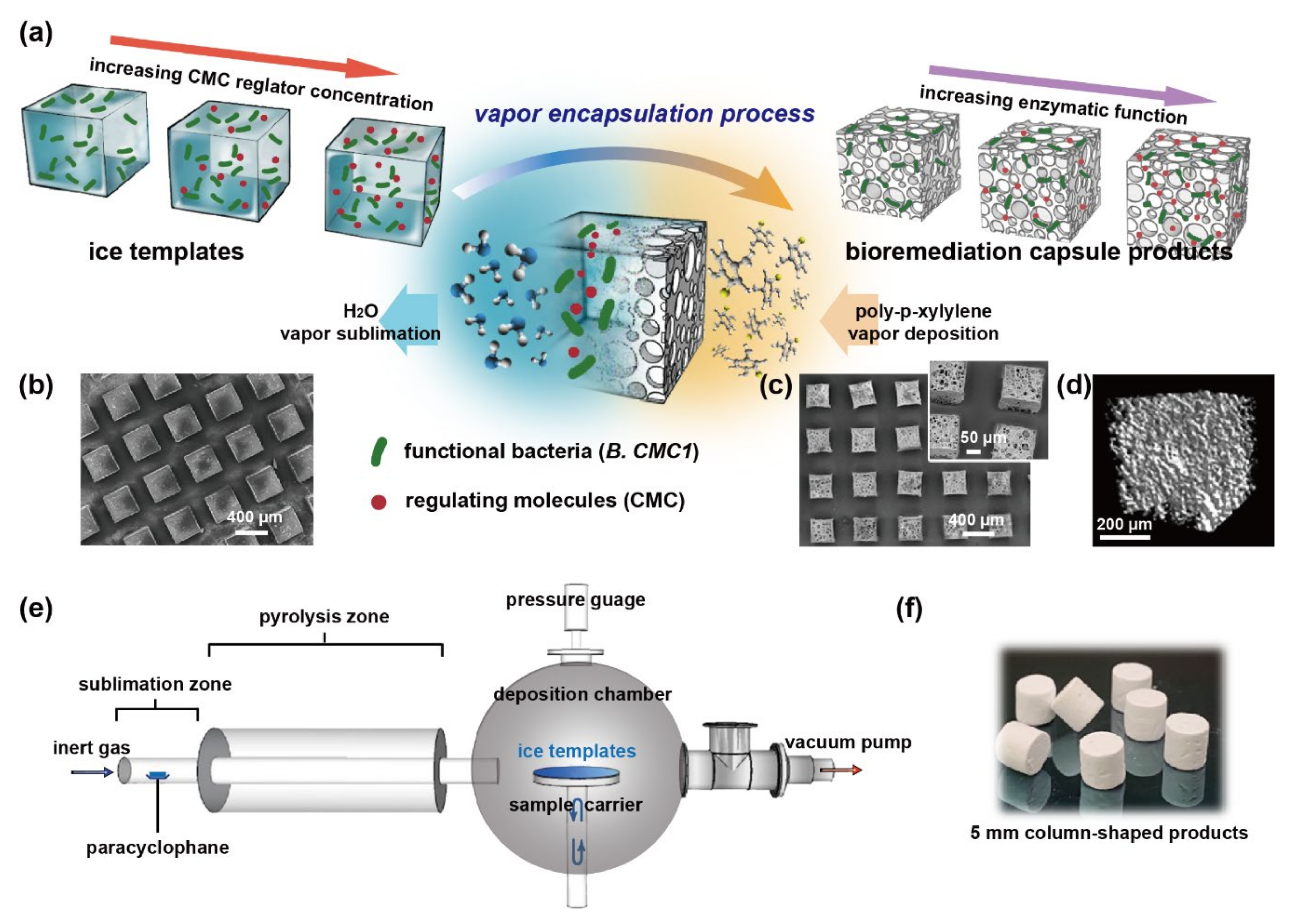 Polymers 13 00041 g001 Polymers 13 00041 g001