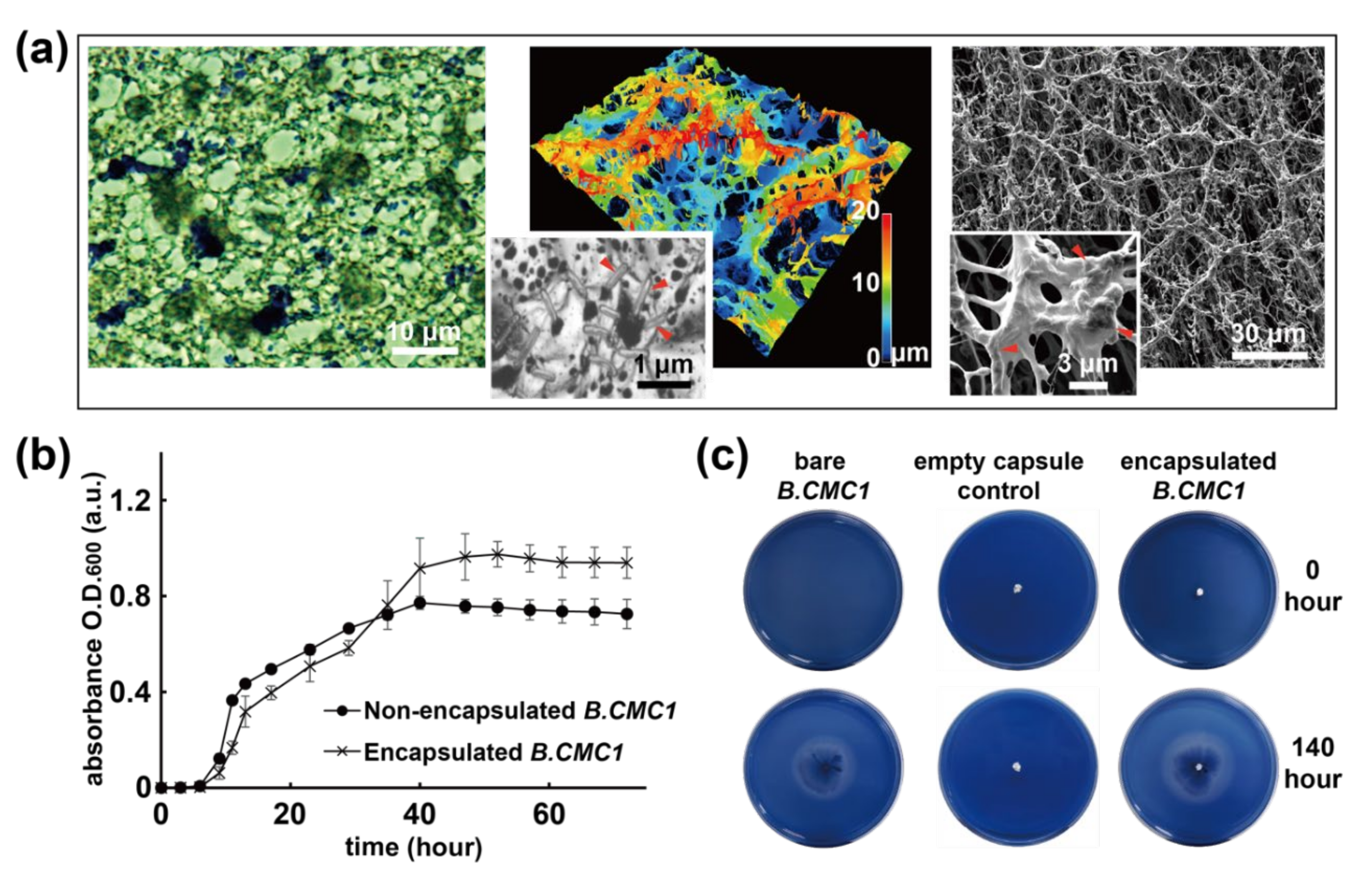 Polymers 13 00041 g002 Polymers 13 00041 g002