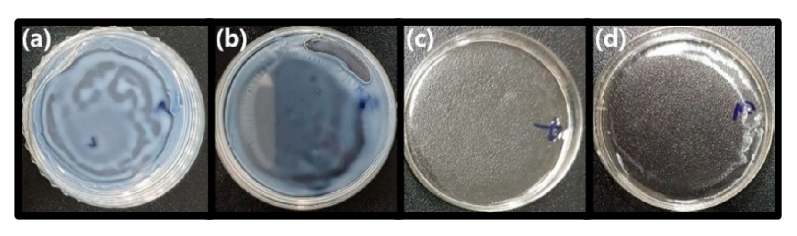 Polymers 13 00044 g002