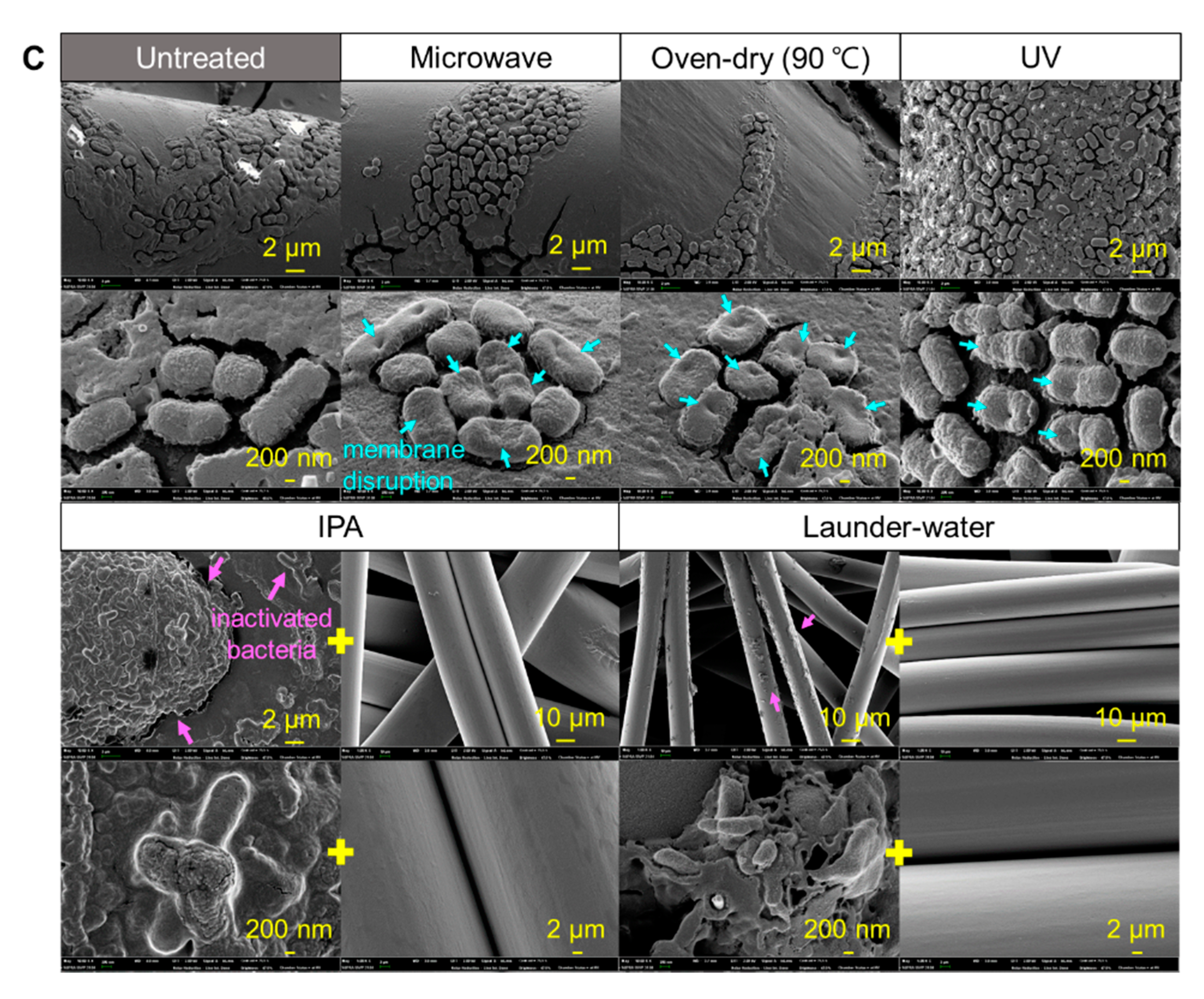 Polymers 13 00045 g006b