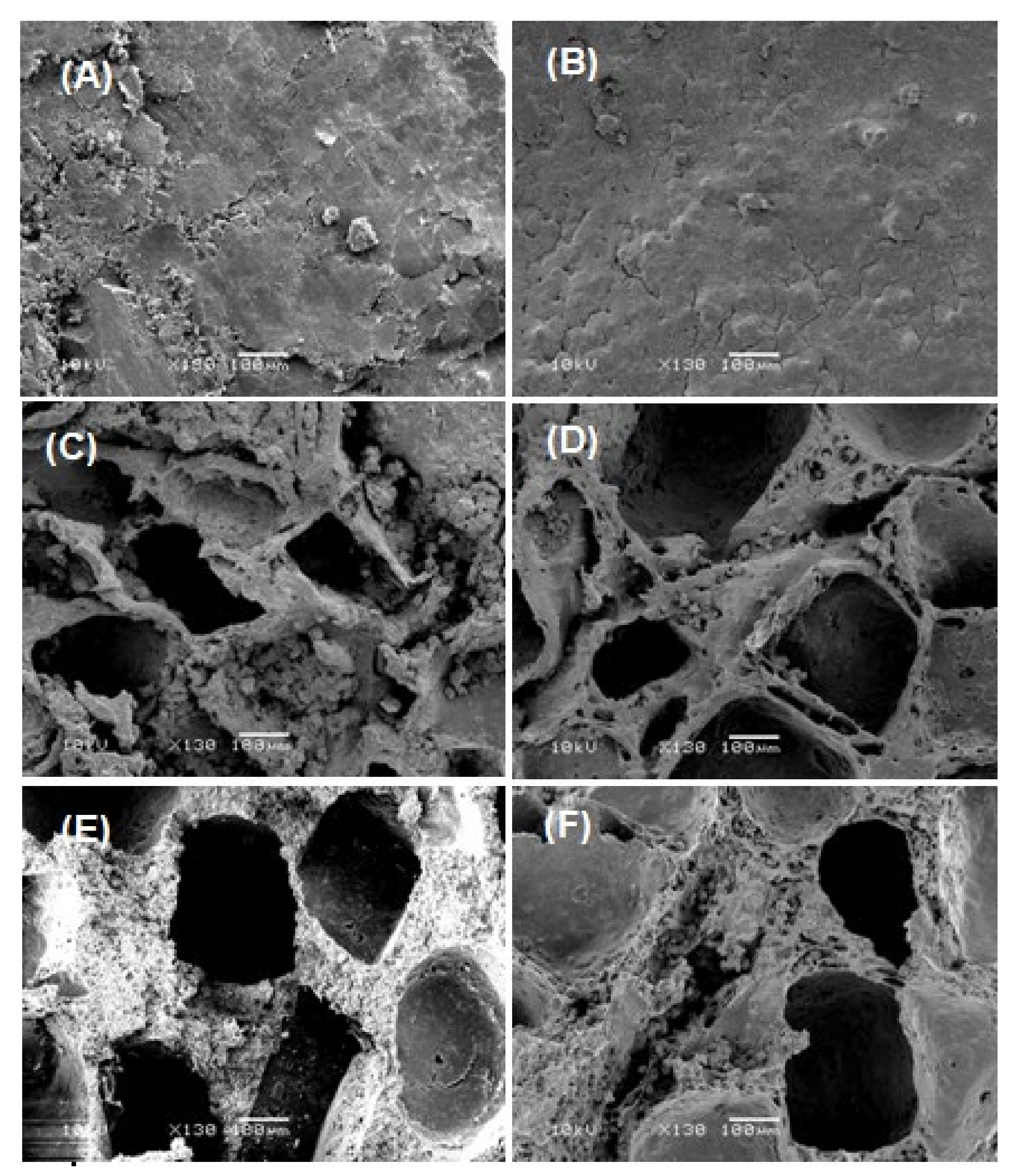 Polymers 13 00046 g004