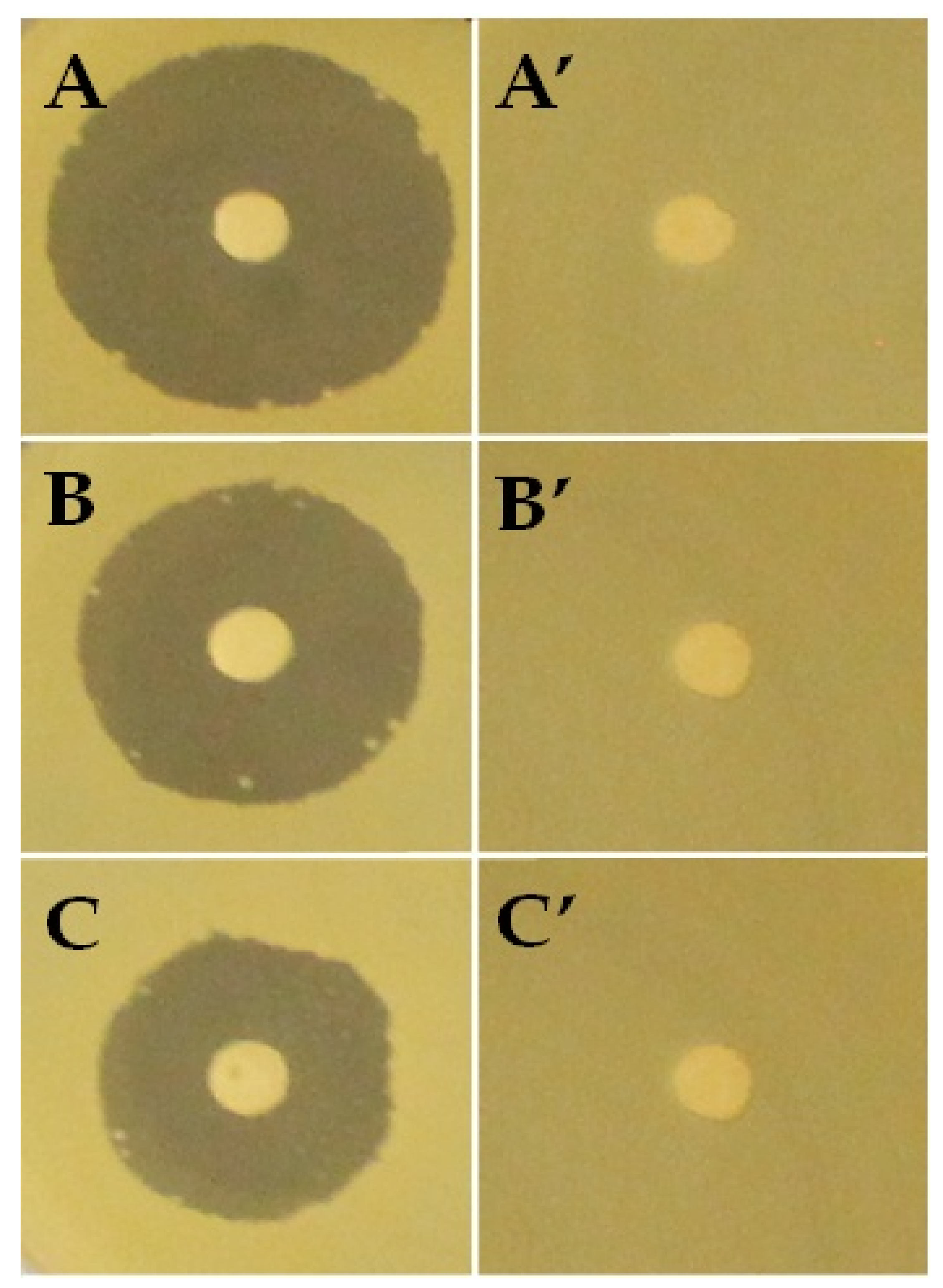 Polymers 13 00046 g010