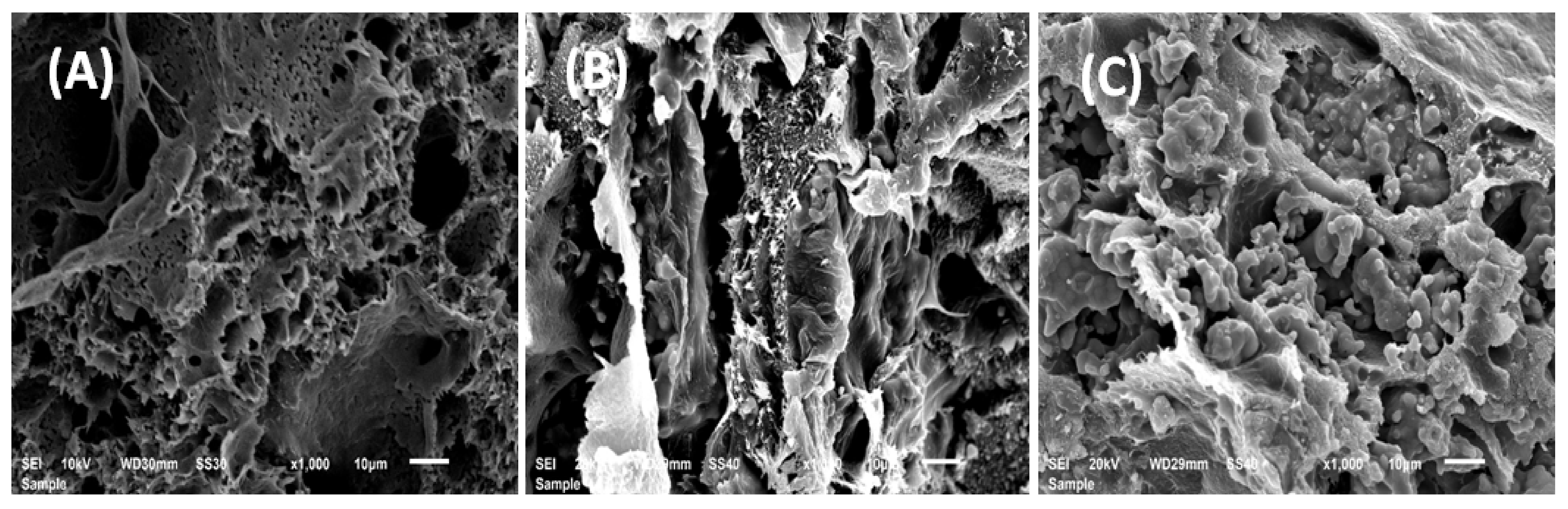 Polymers 13 00046 g012