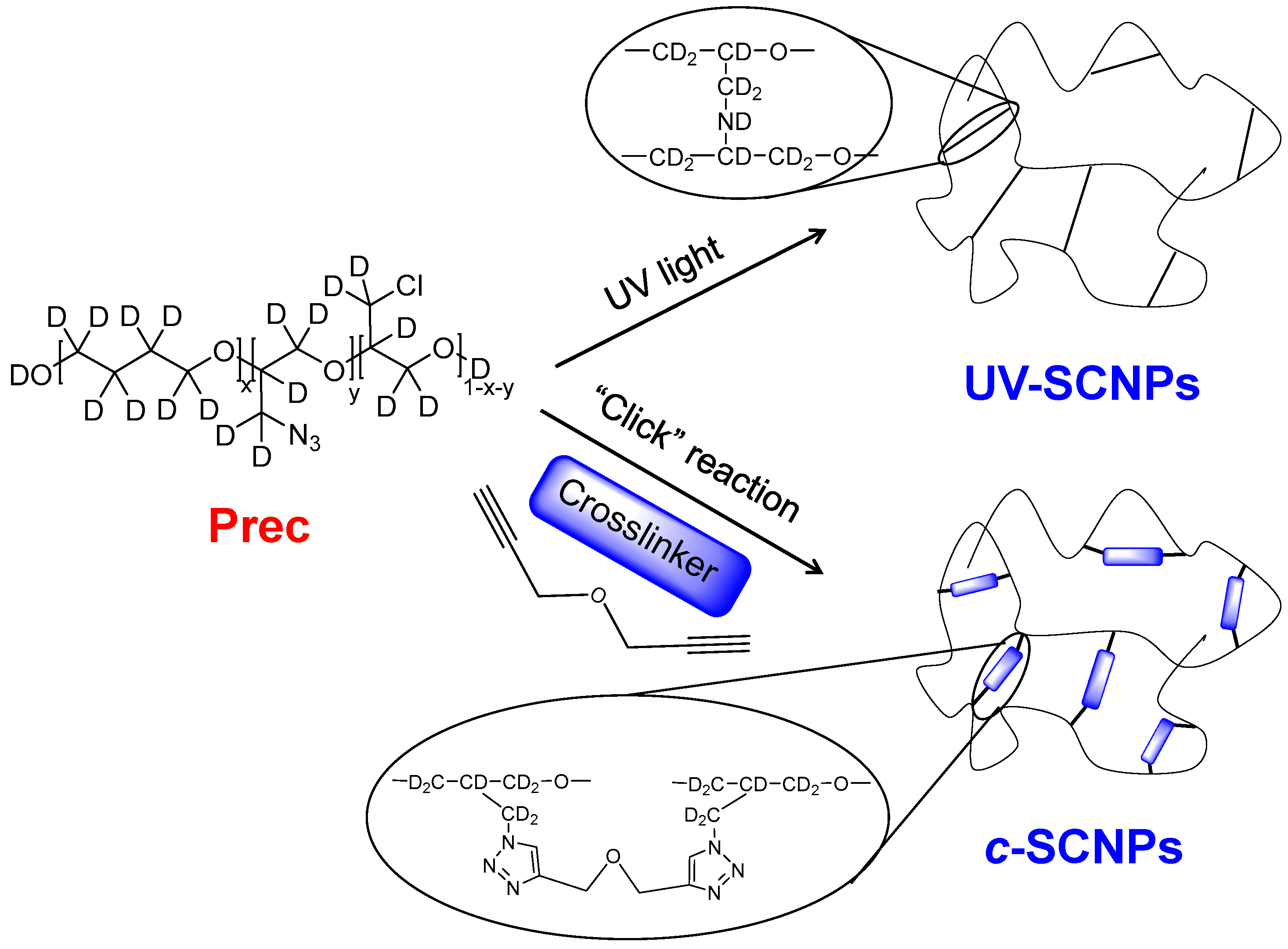 Polymers 13 00050 sch001
