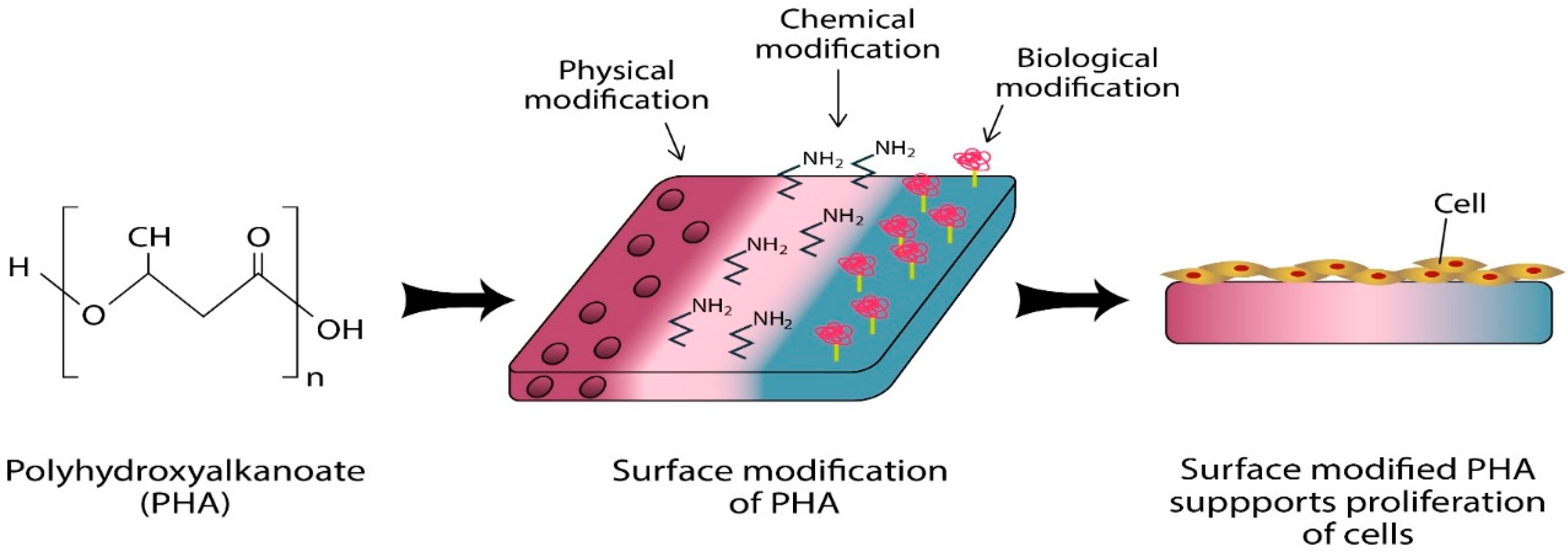 Polymers 13 00051 g007