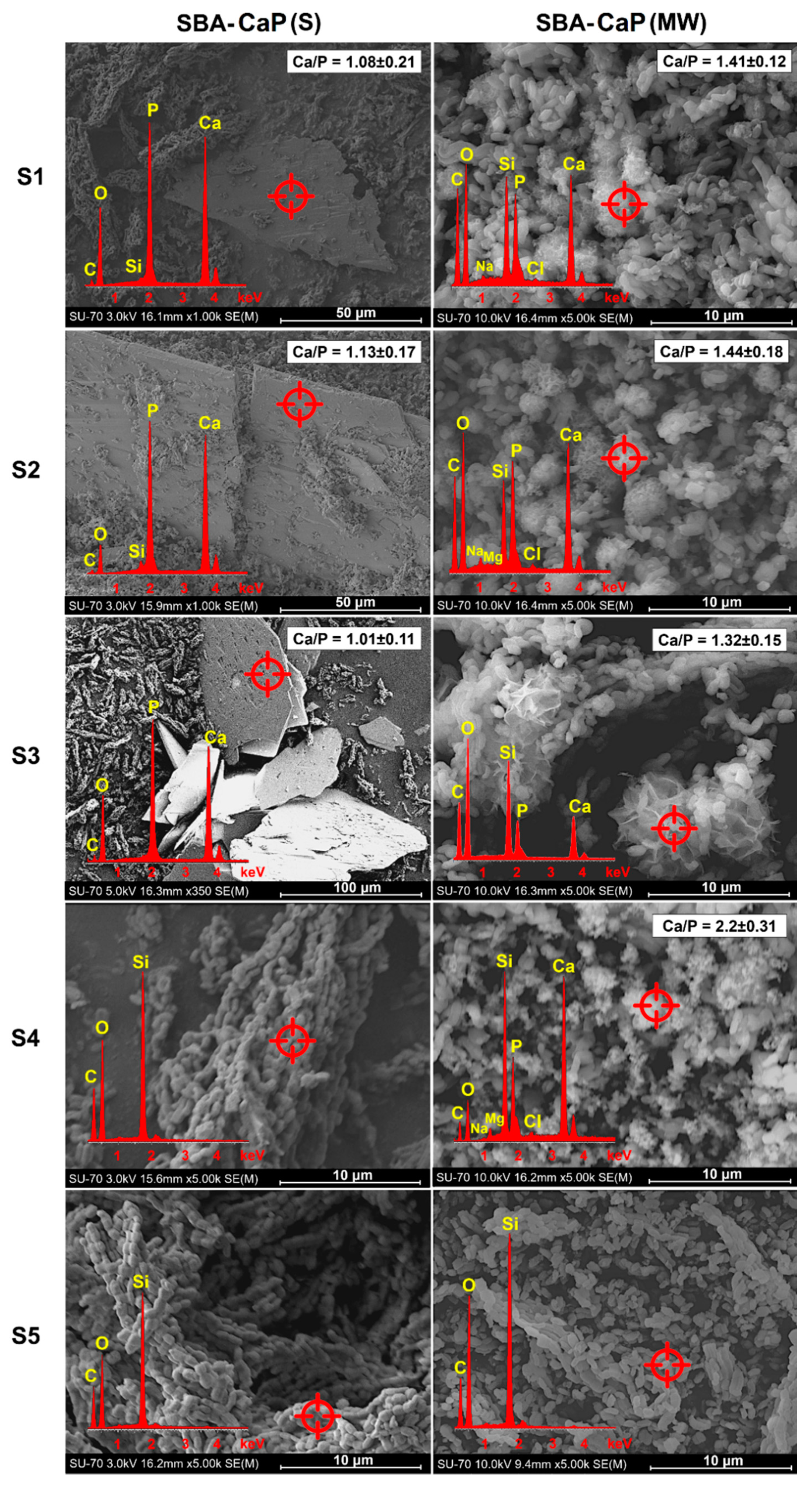 Polymers 13 00053 g001