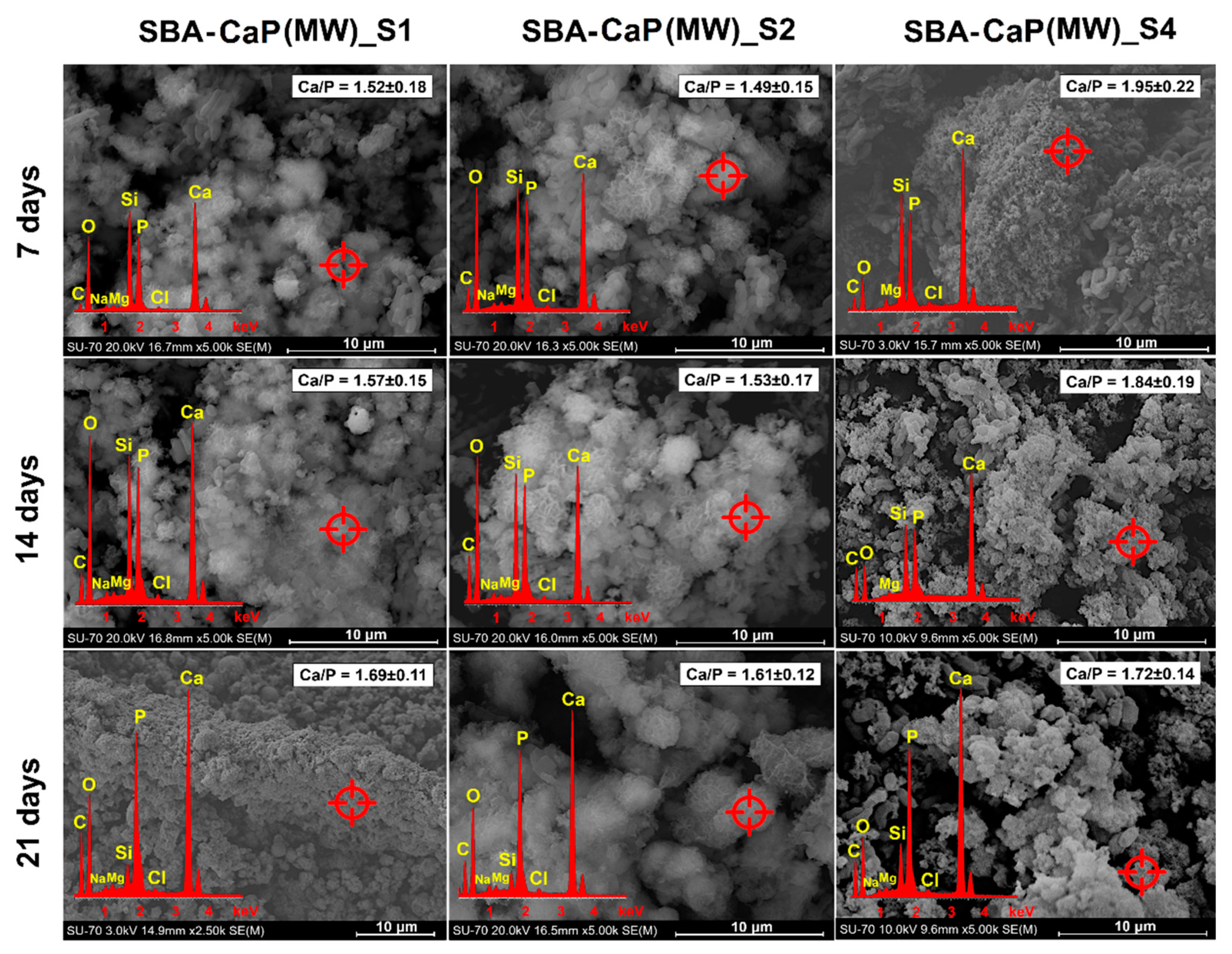 Polymers 13 00053 g002