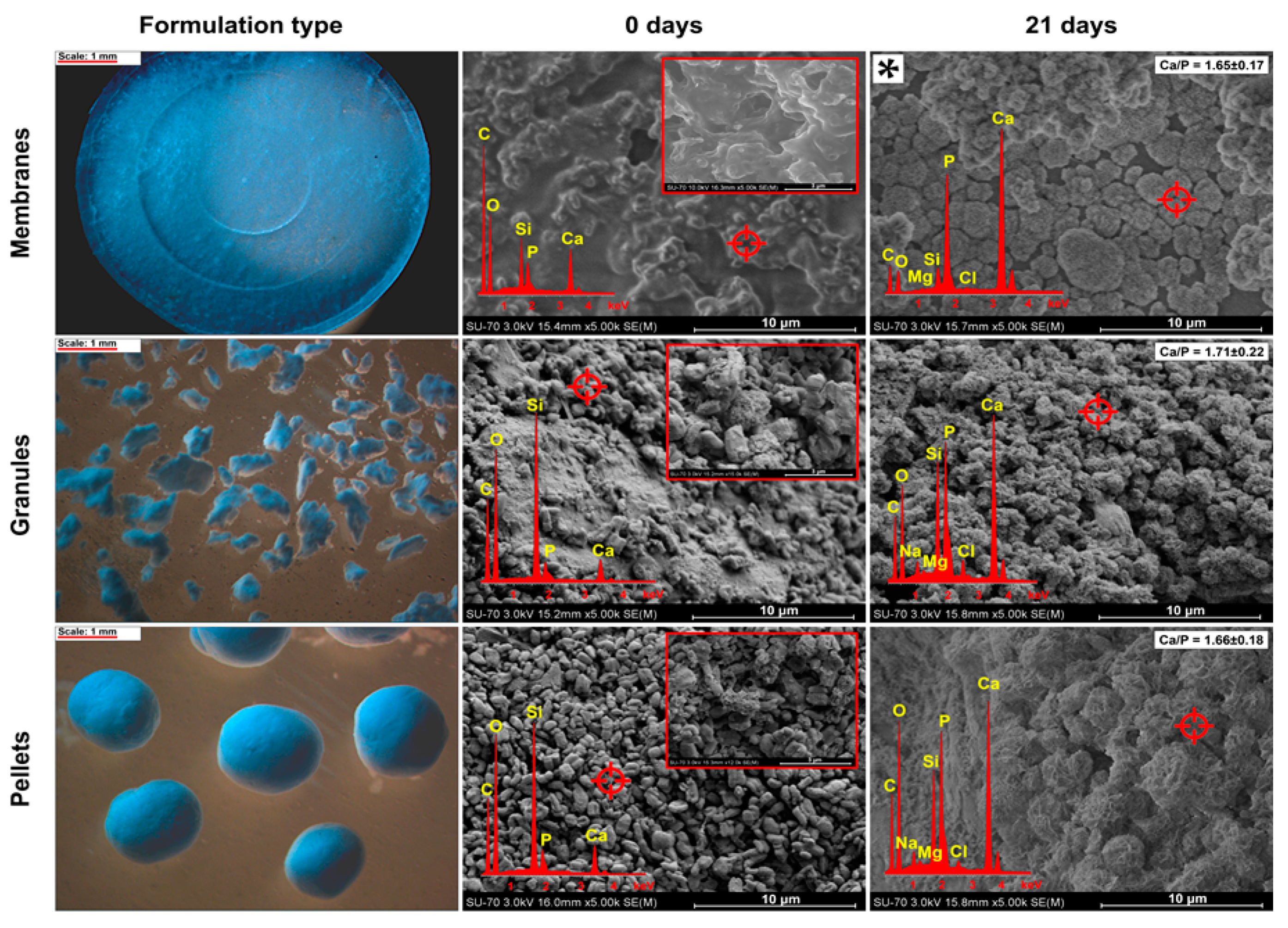 Polymers 13 00053 g004
