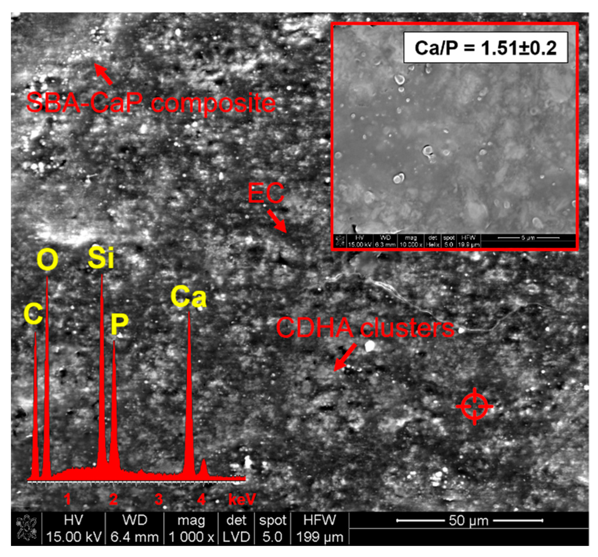 Polymers 13 00053 g0a1
