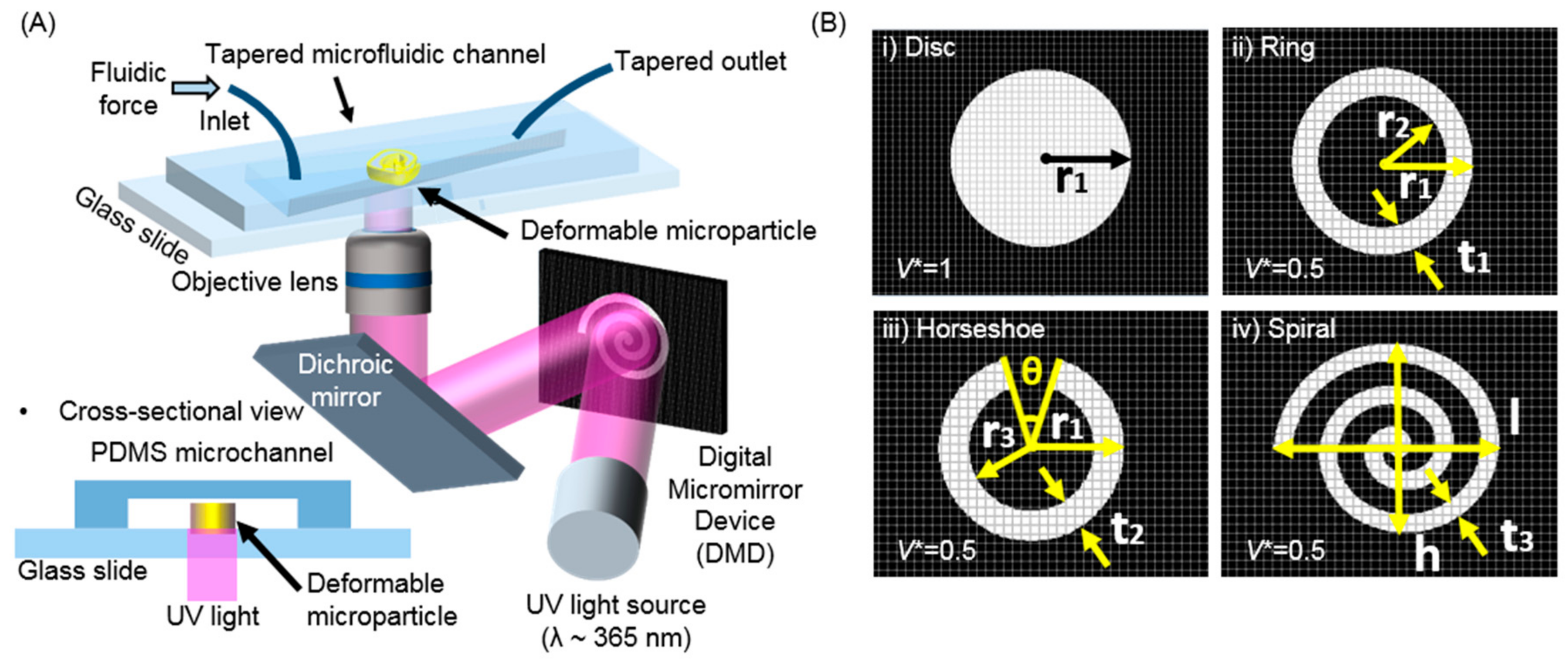 Polymers 13 00055 g001