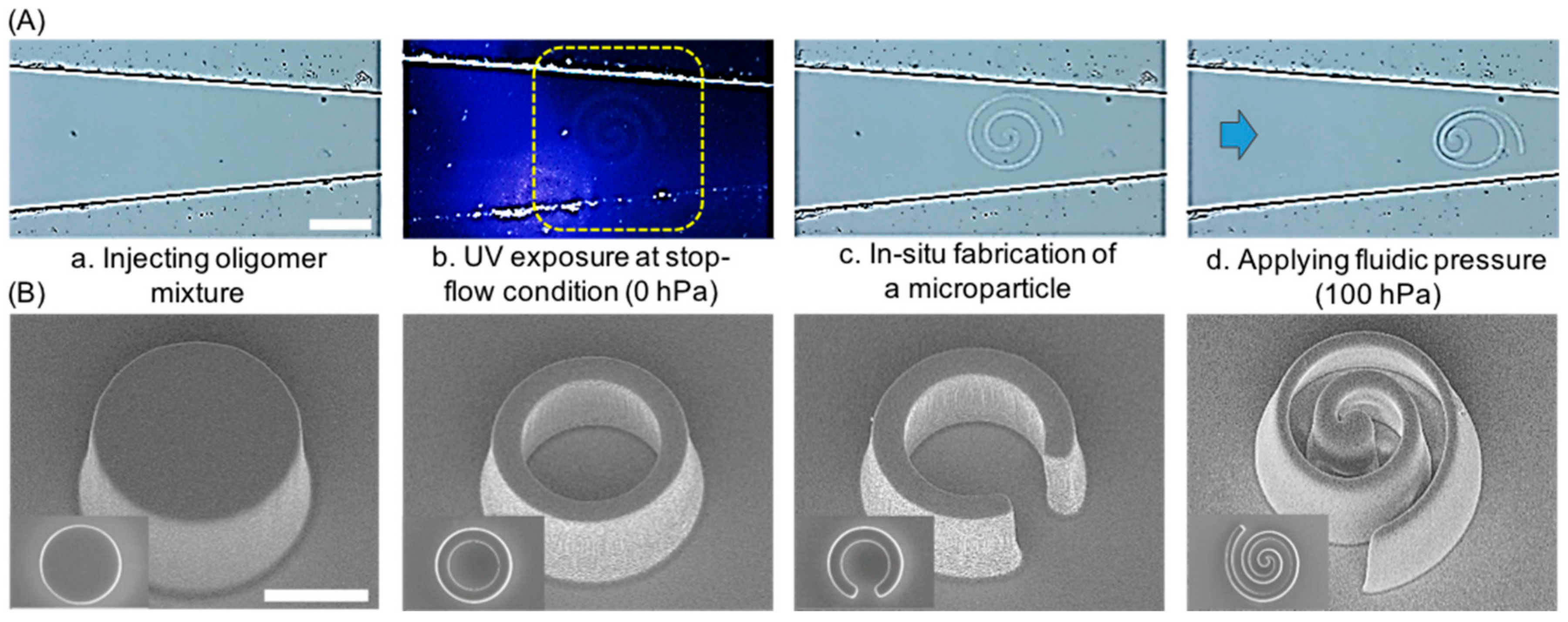 Polymers 13 00055 g002