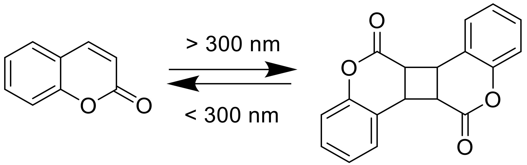 Polymers 13 00056 g002