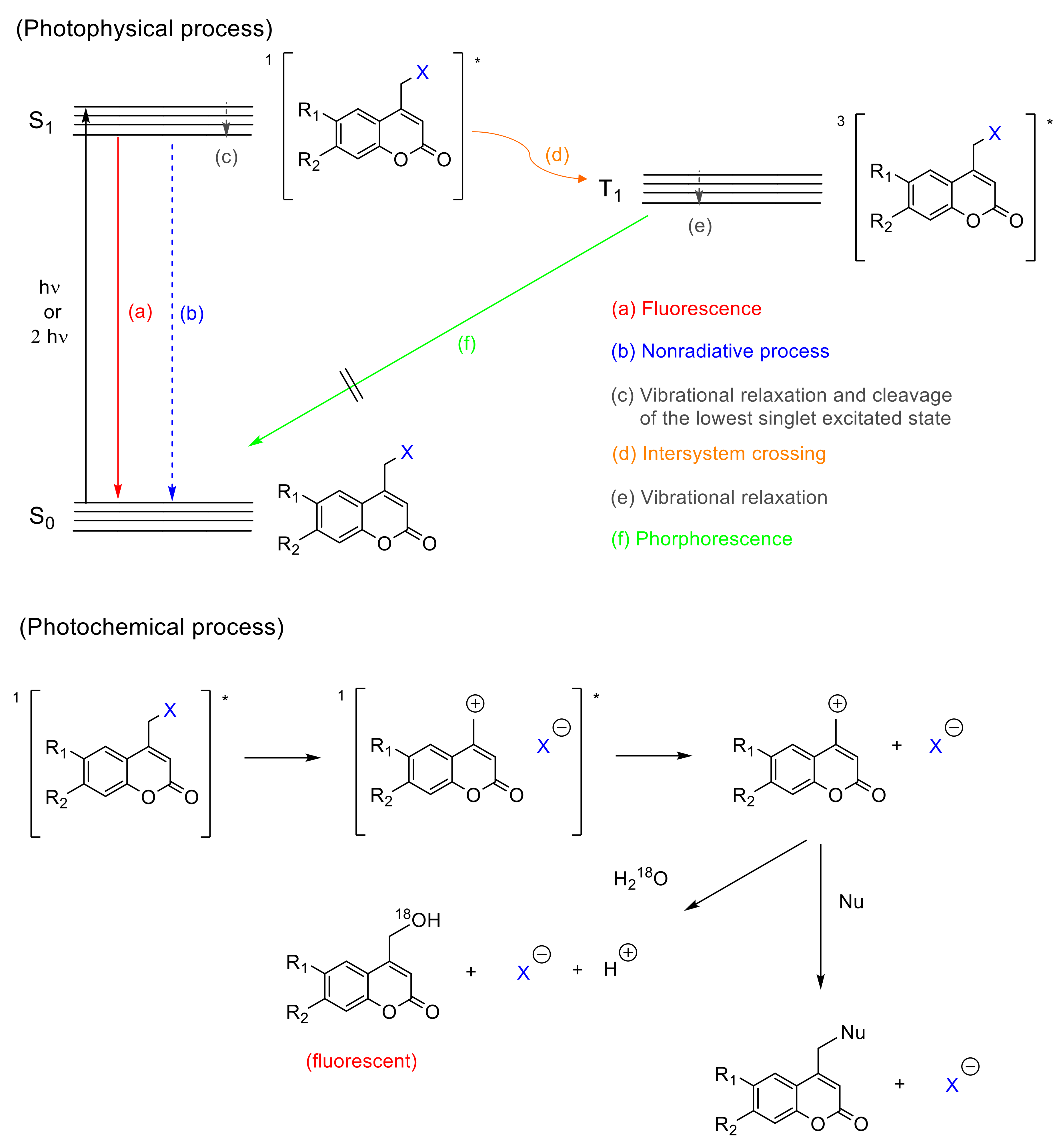 Polymers 13 00056 g006