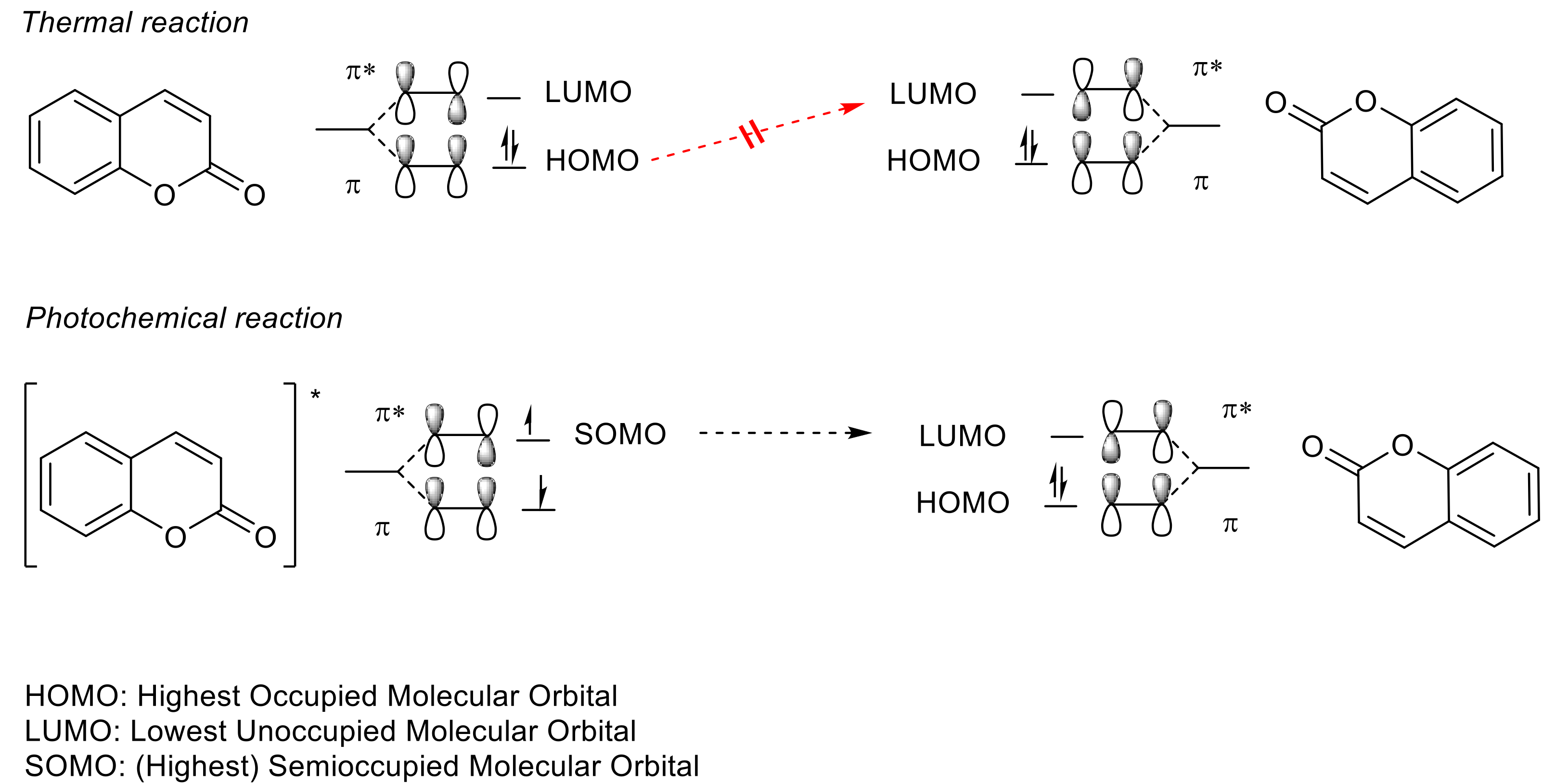 Polymers 13 00056 g007
