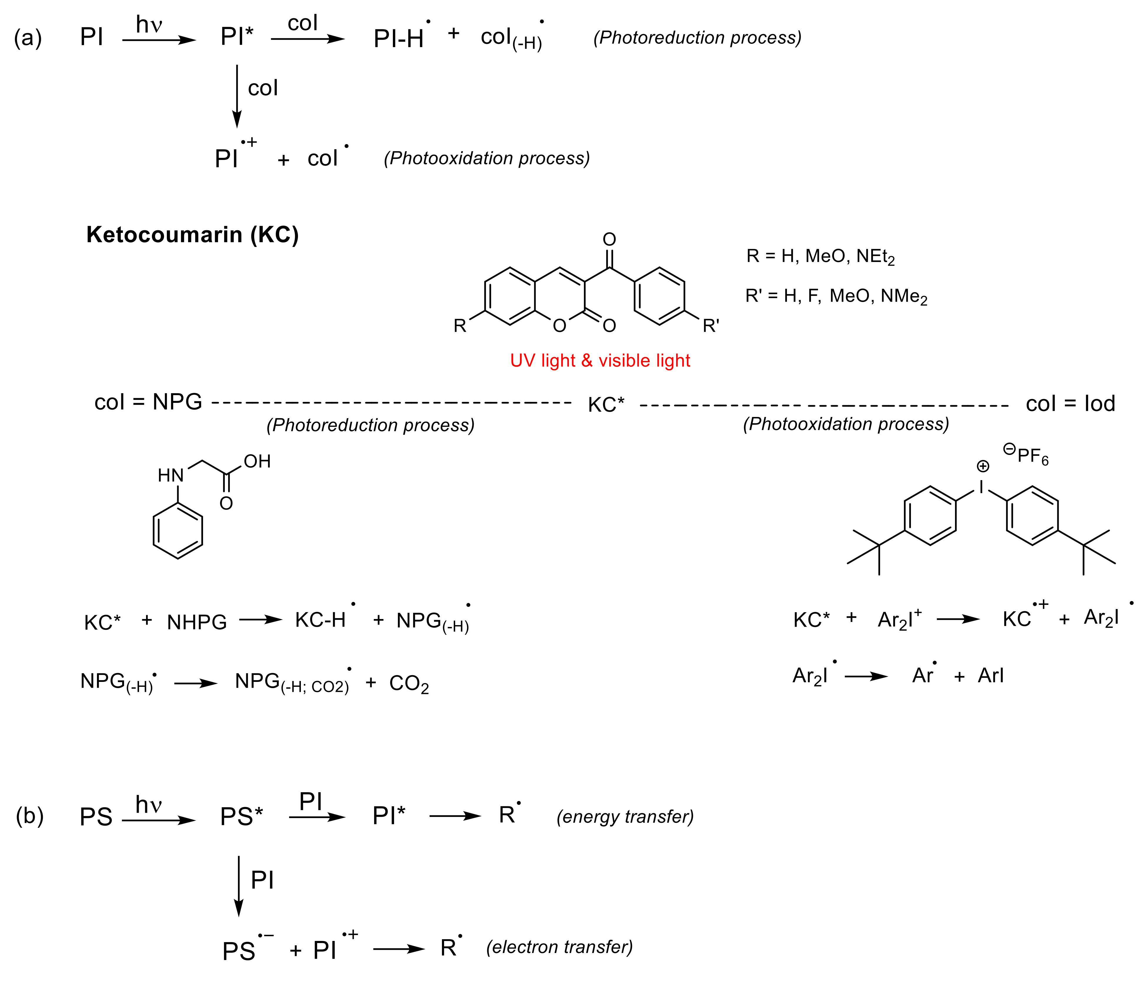Polymers 13 00056 g011