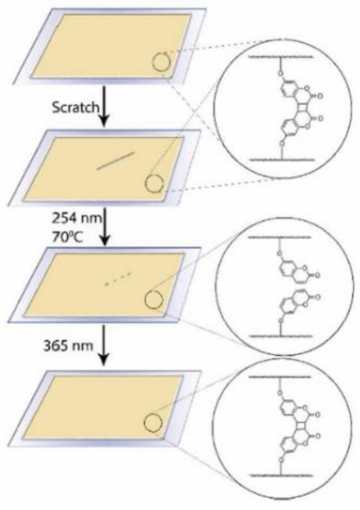 Polymers 13 00056 g033