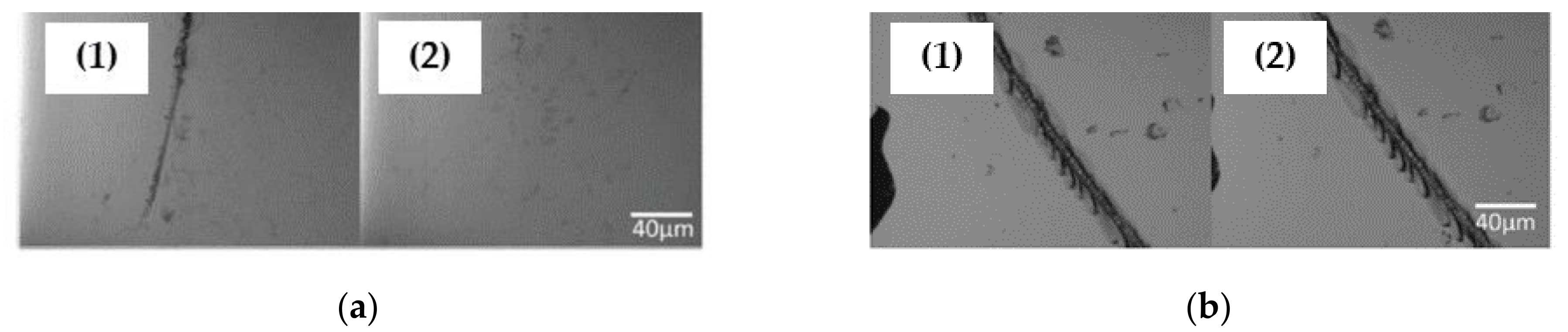 Polymers 13 00056 g034